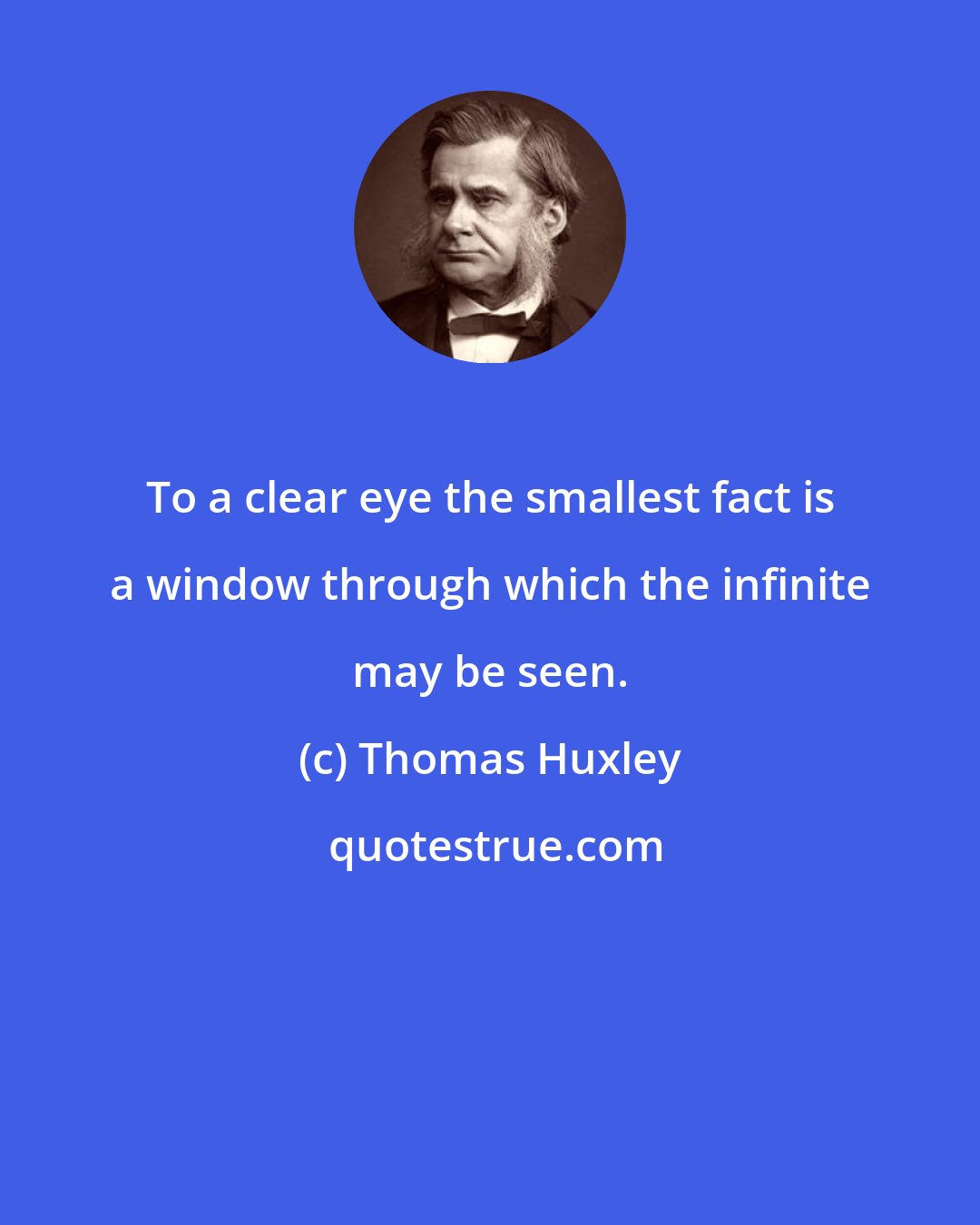 Thomas Huxley: To a clear eye the smallest fact is a window through which the infinite may be seen.