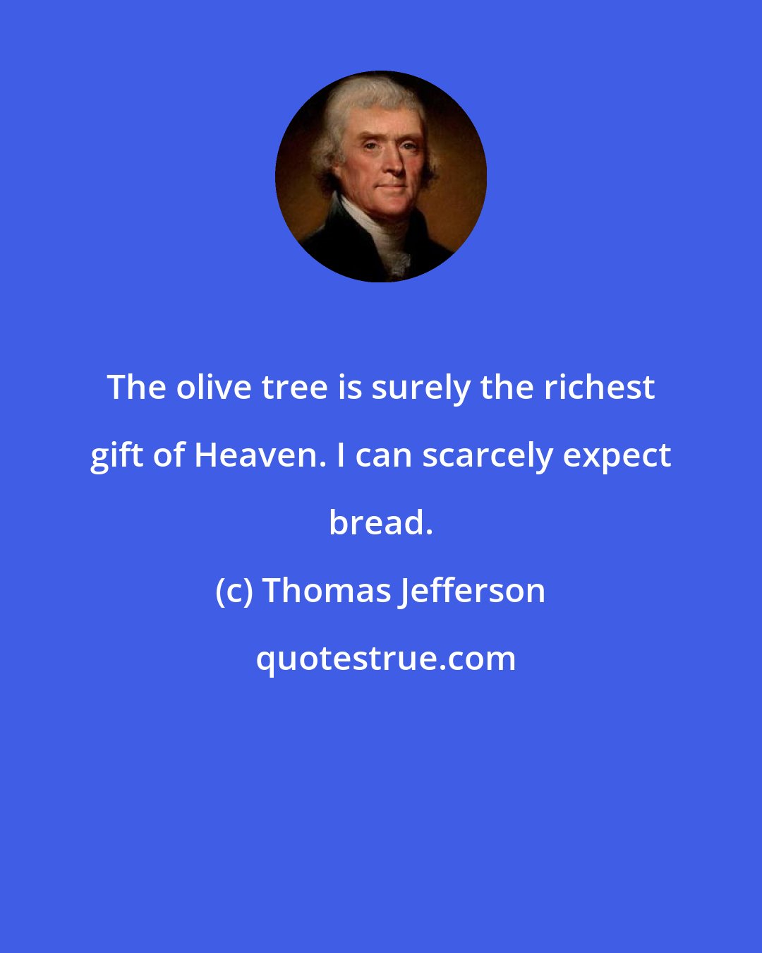 Thomas Jefferson: The olive tree is surely the richest gift of Heaven. I can scarcely expect bread.
