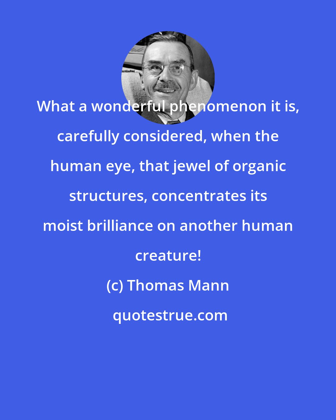 Thomas Mann: What a wonderful phenomenon it is, carefully considered, when the human eye, that jewel of organic structures, concentrates its moist brilliance on another human creature!