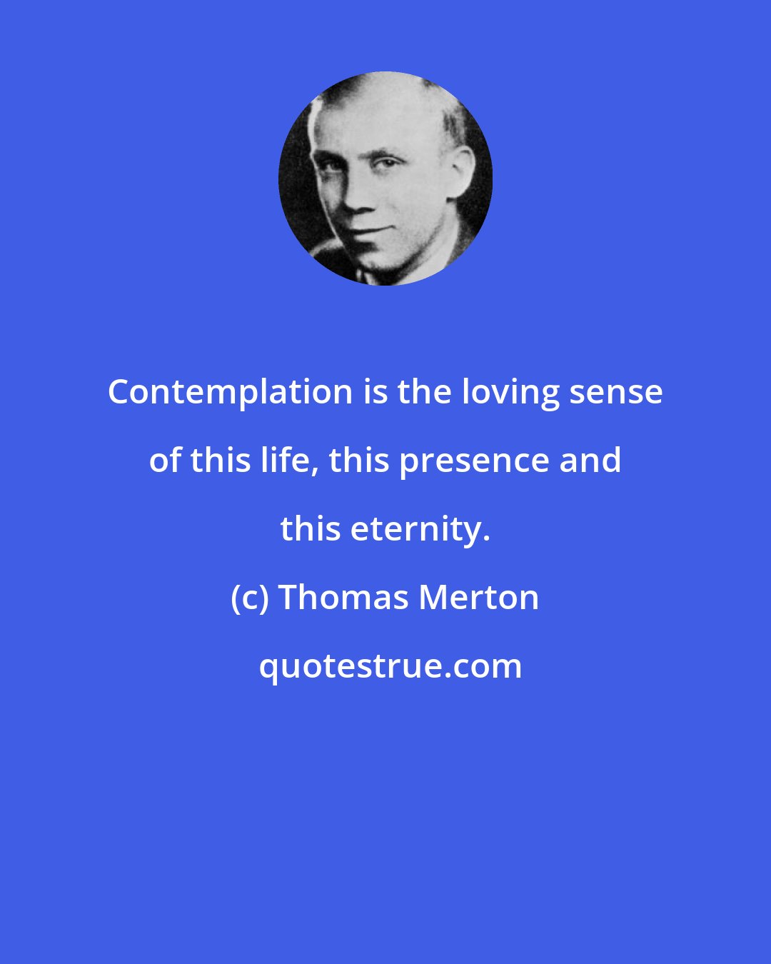 Thomas Merton: Contemplation is the loving sense of this life, this presence and this eternity.