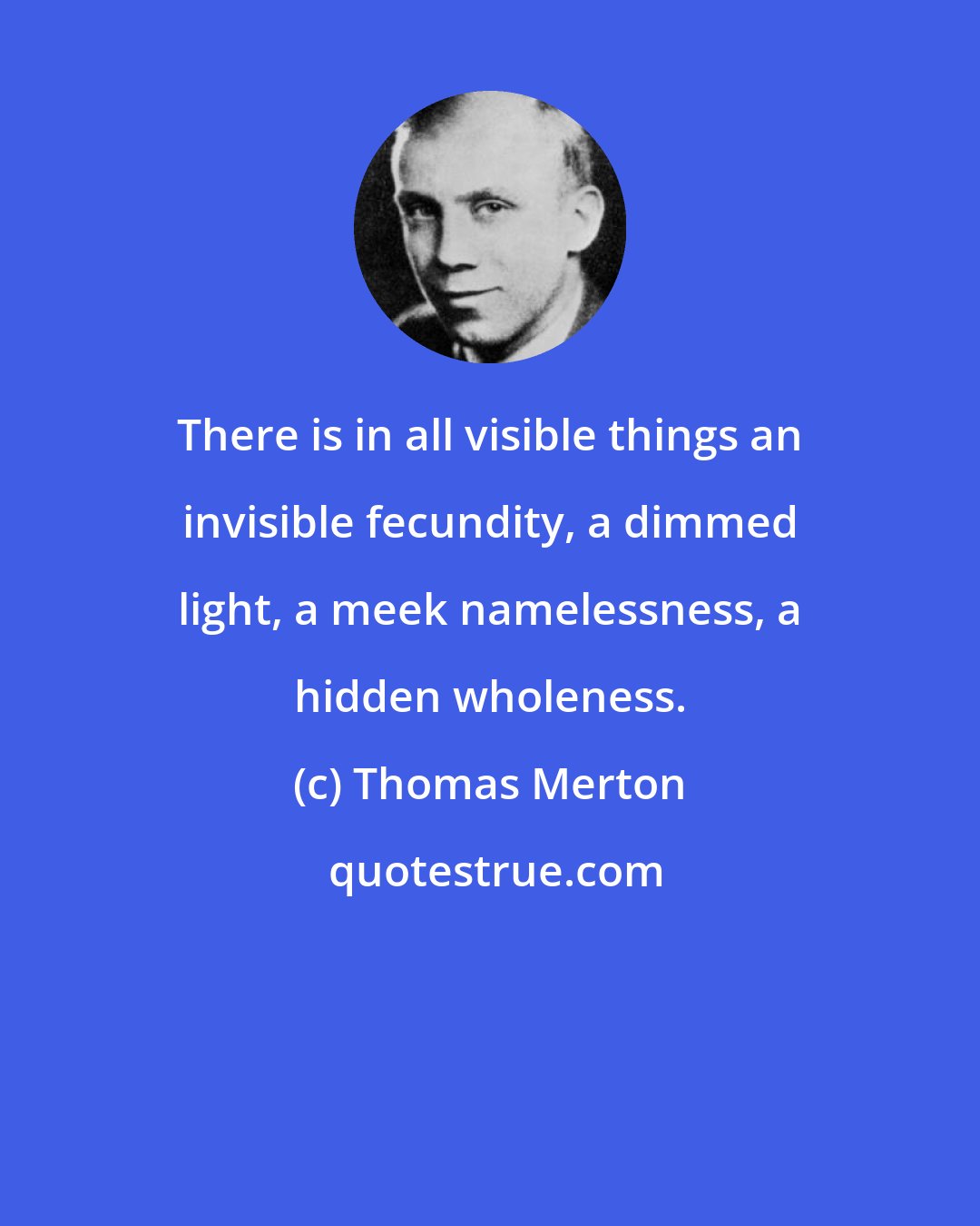 Thomas Merton: There is in all visible things an invisible fecundity, a dimmed light, a meek namelessness, a hidden wholeness.