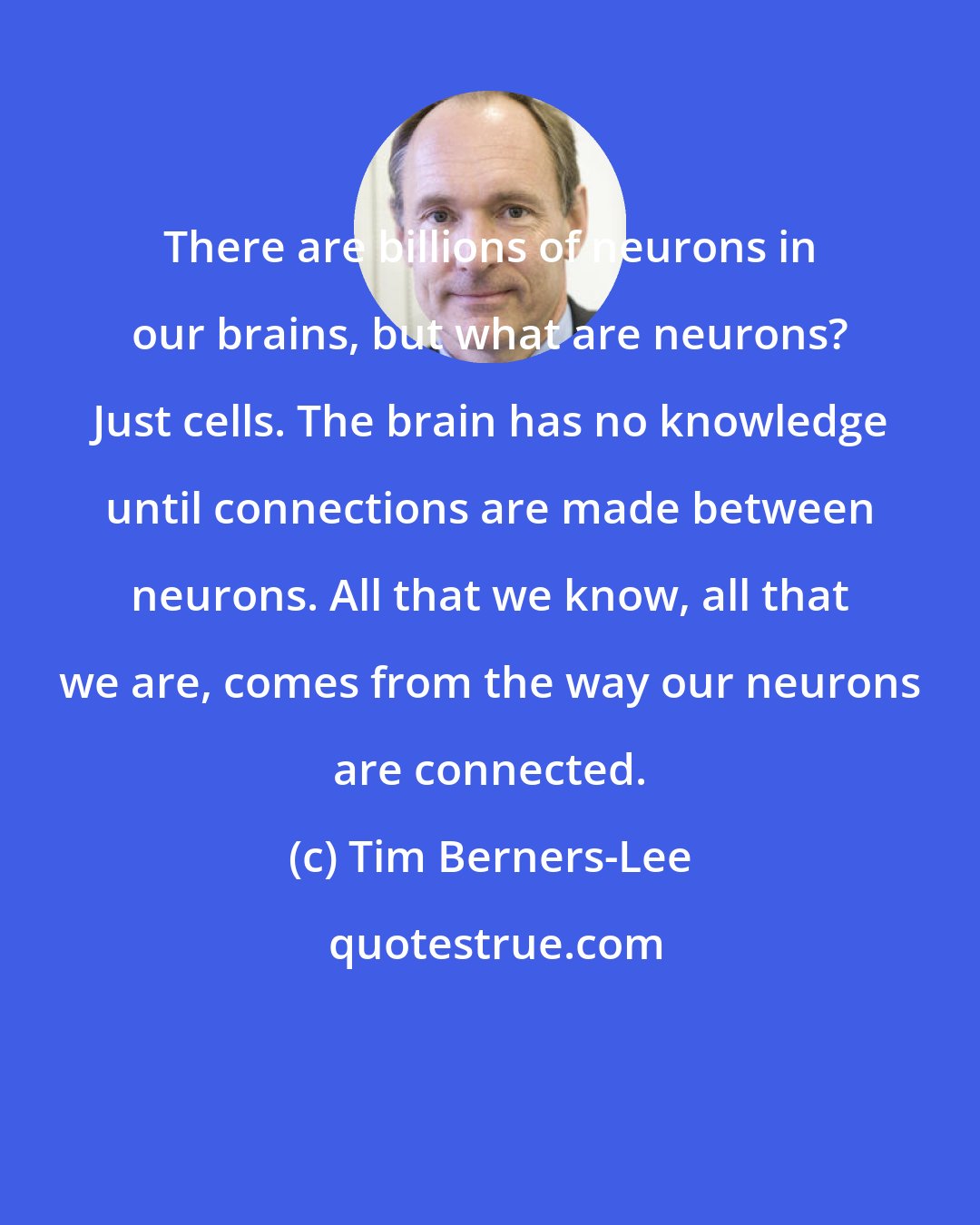 Tim Berners-Lee: There are billions of neurons in our brains, but what are neurons? Just cells. The brain has no knowledge until connections are made between neurons. All that we know, all that we are, comes from the way our neurons are connected.