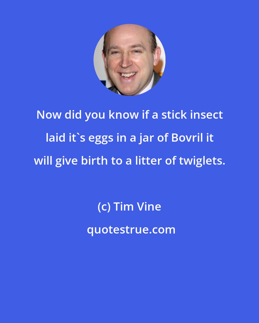 Tim Vine: Now did you know if a stick insect laid it's eggs in a jar of Bovril it will give birth to a litter of twiglets.