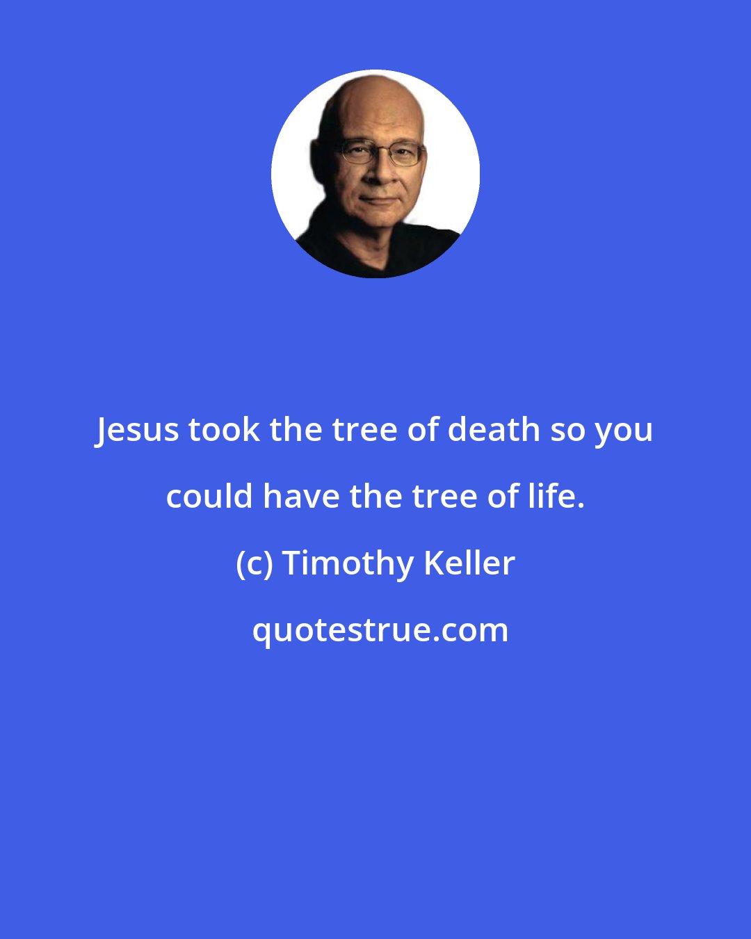 Timothy Keller: Jesus took the tree of death so you could have the tree of life.