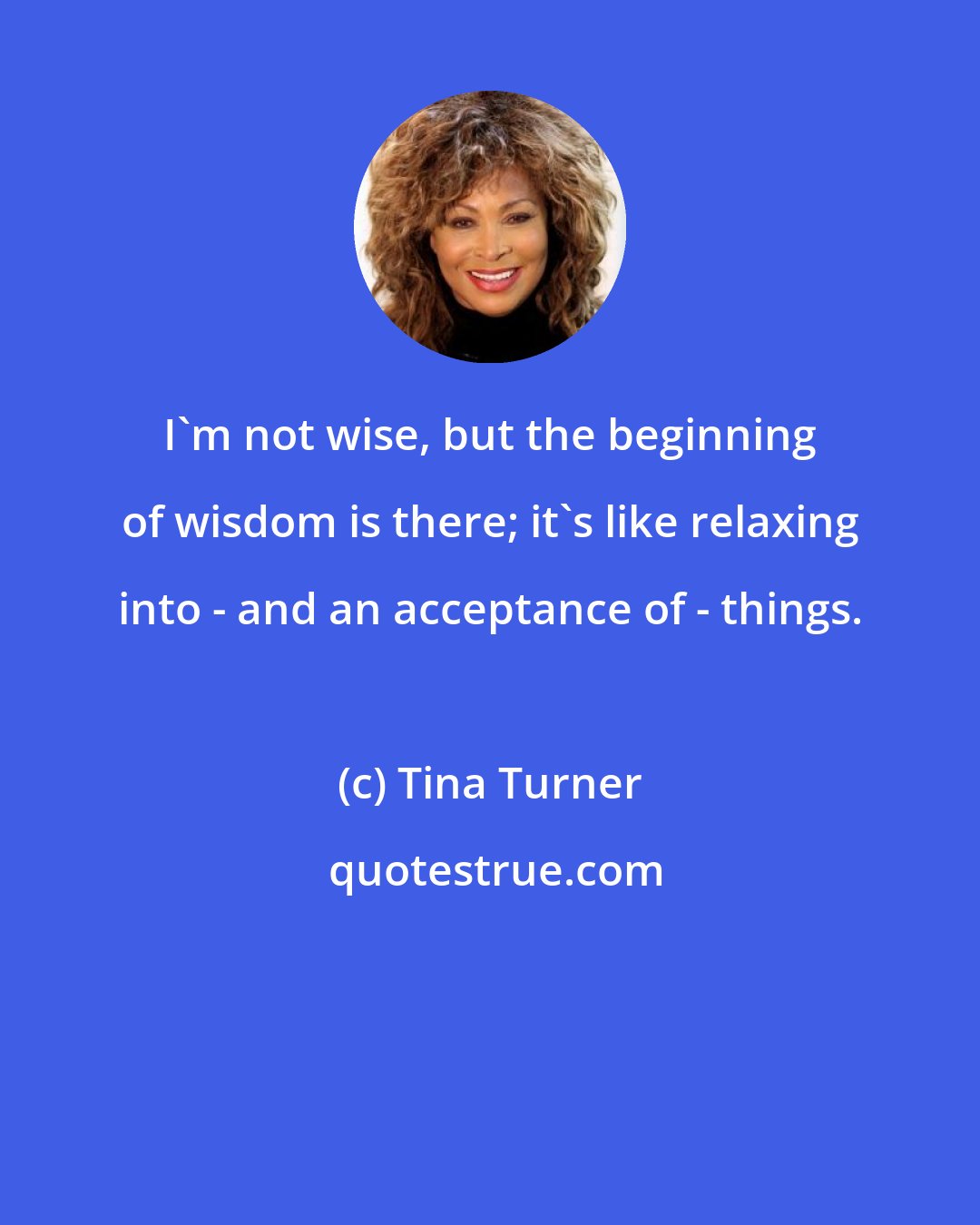 Tina Turner: I'm not wise, but the beginning of wisdom is there; it's like relaxing into - and an acceptance of - things.