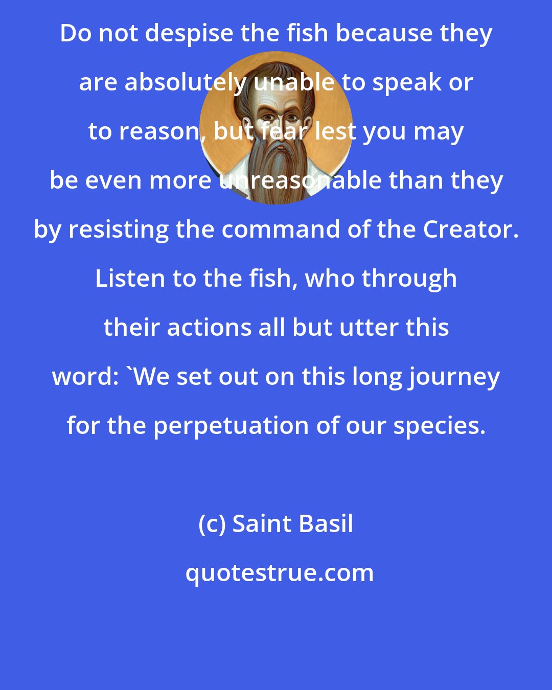 Saint Basil: Do not despise the fish because they are absolutely unable to speak or to reason, but fear lest you may be even more unreasonable than they by resisting the command of the Creator. Listen to the fish, who through their actions all but utter this word: 'We set out on this long journey for the perpetuation of our species.