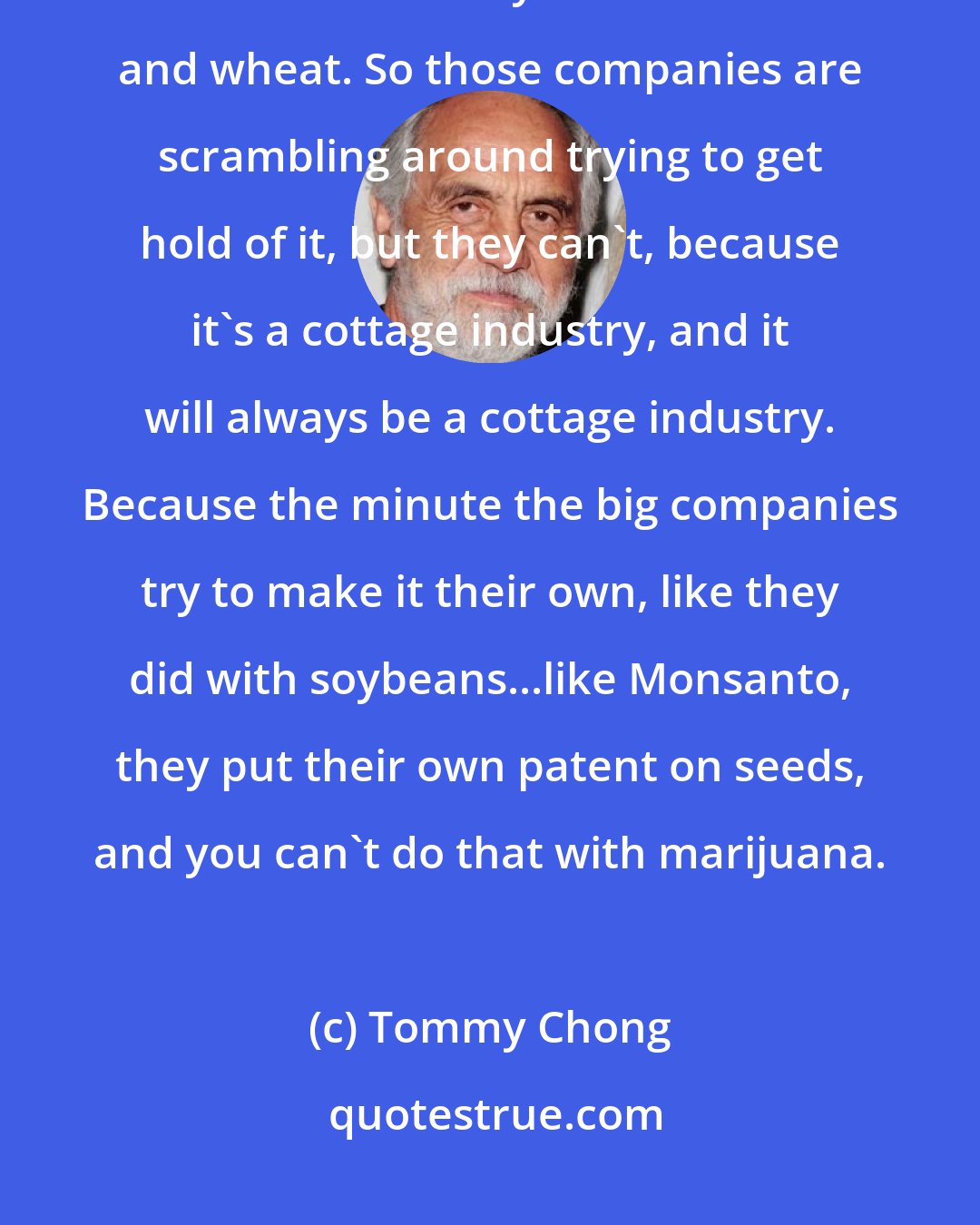 Tommy Chong: By making marijuana illegal, the agricultural people can't grab hold of it like they did with corn and wheat. So those companies are scrambling around trying to get hold of it, but they can't, because it's a cottage industry, and it will always be a cottage industry. Because the minute the big companies try to make it their own, like they did with soybeans...like Monsanto, they put their own patent on seeds, and you can't do that with marijuana.