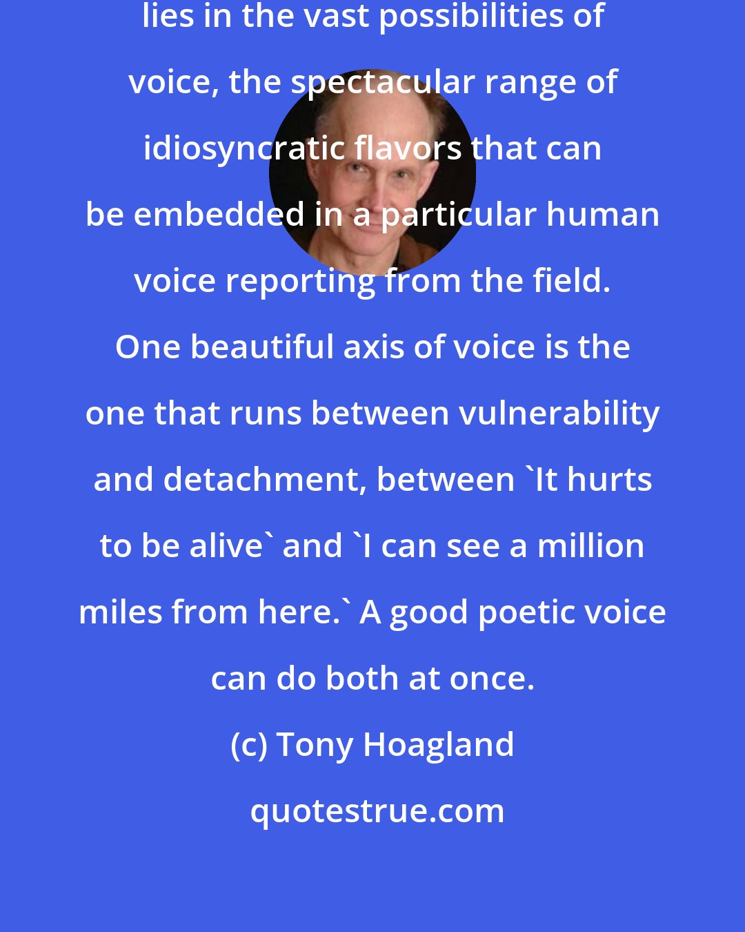 Tony Hoagland: So much of what I love about poetry lies in the vast possibilities of voice, the spectacular range of idiosyncratic flavors that can be embedded in a particular human voice reporting from the field. One beautiful axis of voice is the one that runs between vulnerability and detachment, between 'It hurts to be alive' and 'I can see a million miles from here.' A good poetic voice can do both at once.