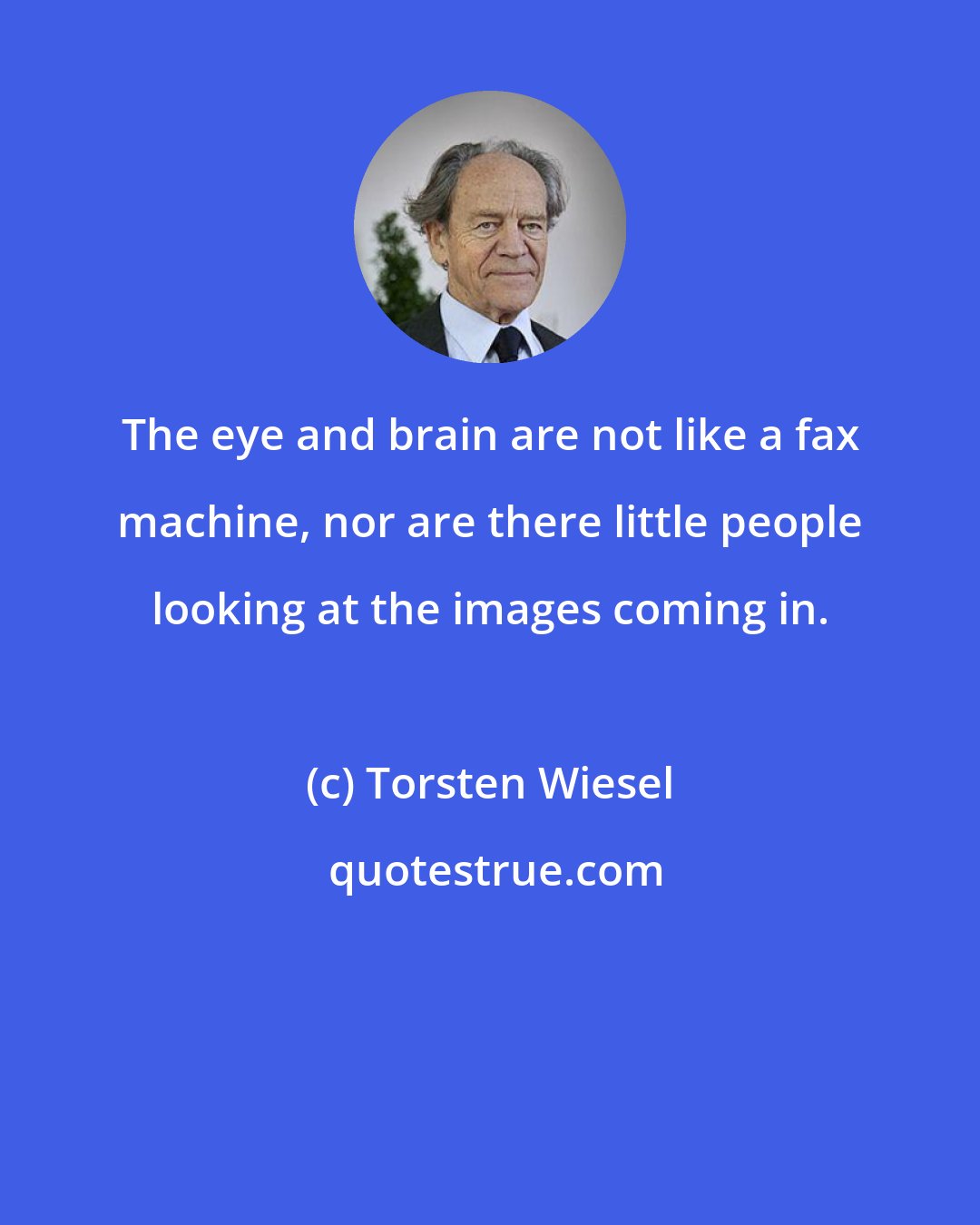 Torsten Wiesel: The eye and brain are not like a fax machine, nor are there little people looking at the images coming in.