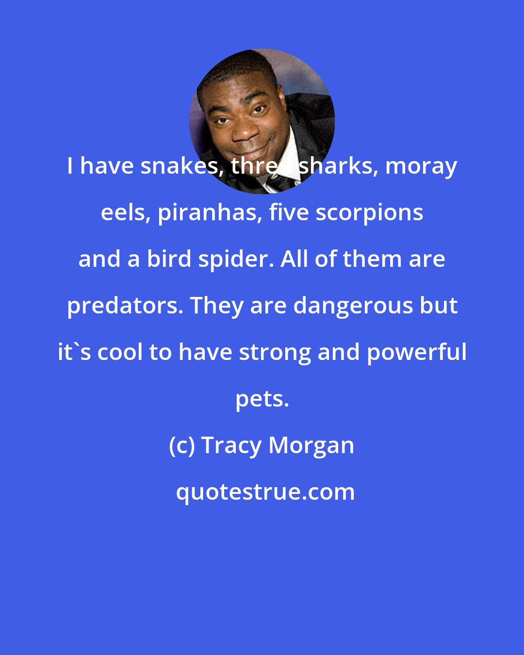 Tracy Morgan: I have snakes, three sharks, moray eels, piranhas, five scorpions and a bird spider. All of them are predators. They are dangerous but it's cool to have strong and powerful pets.