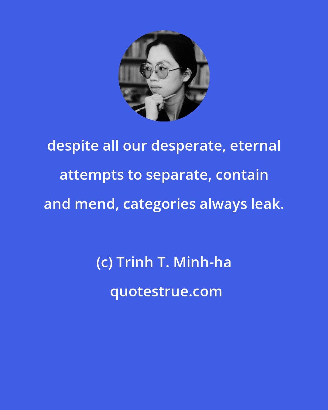 Trinh T. Minh-ha: despite all our desperate, eternal attempts to separate, contain and mend, categories always leak.