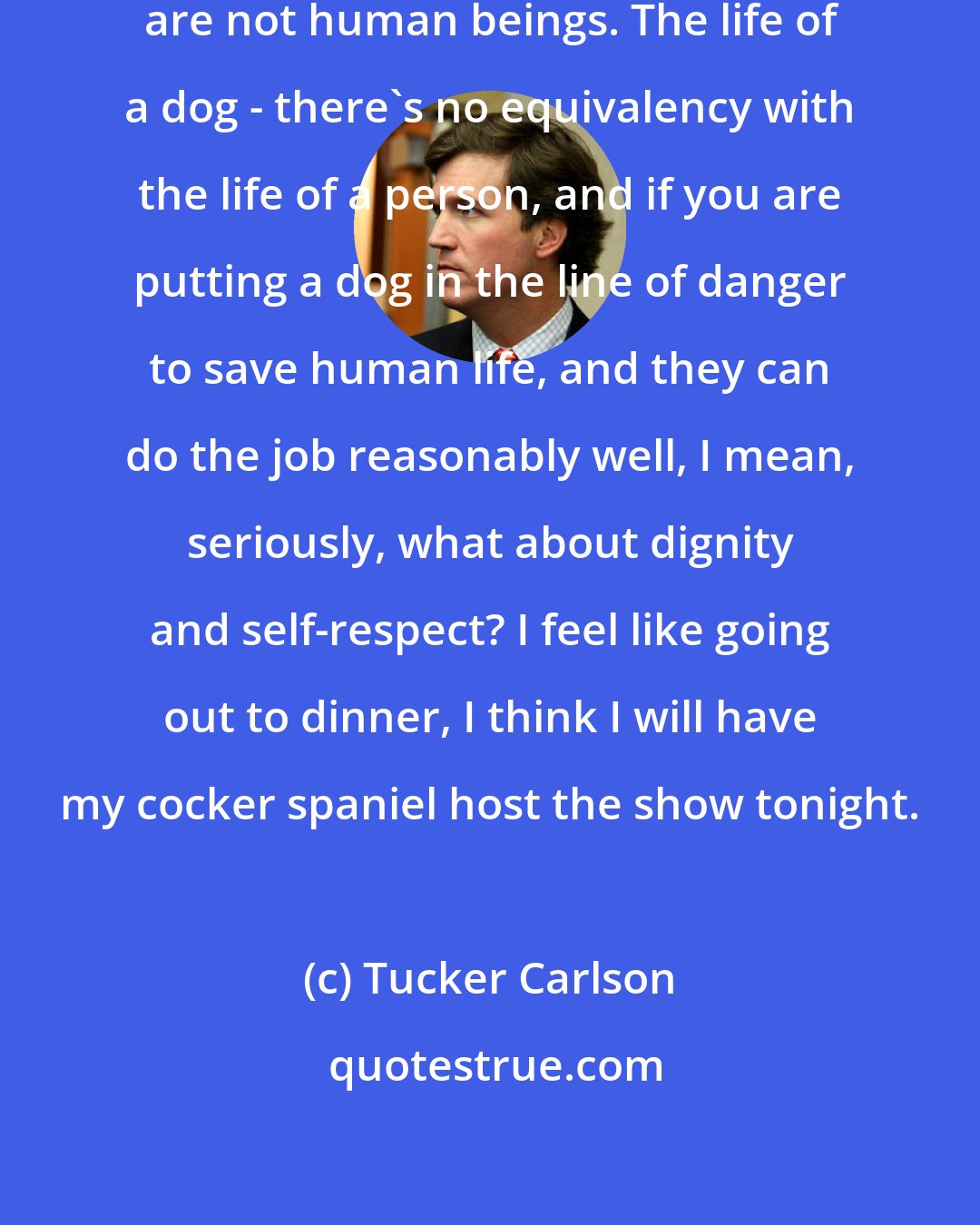 Tucker Carlson: Dogs are intelligent beings; they are not human beings. The life of a dog - there's no equivalency with the life of a person, and if you are putting a dog in the line of danger to save human life, and they can do the job reasonably well, I mean, seriously, what about dignity and self-respect? I feel like going out to dinner, I think I will have my cocker spaniel host the show tonight.