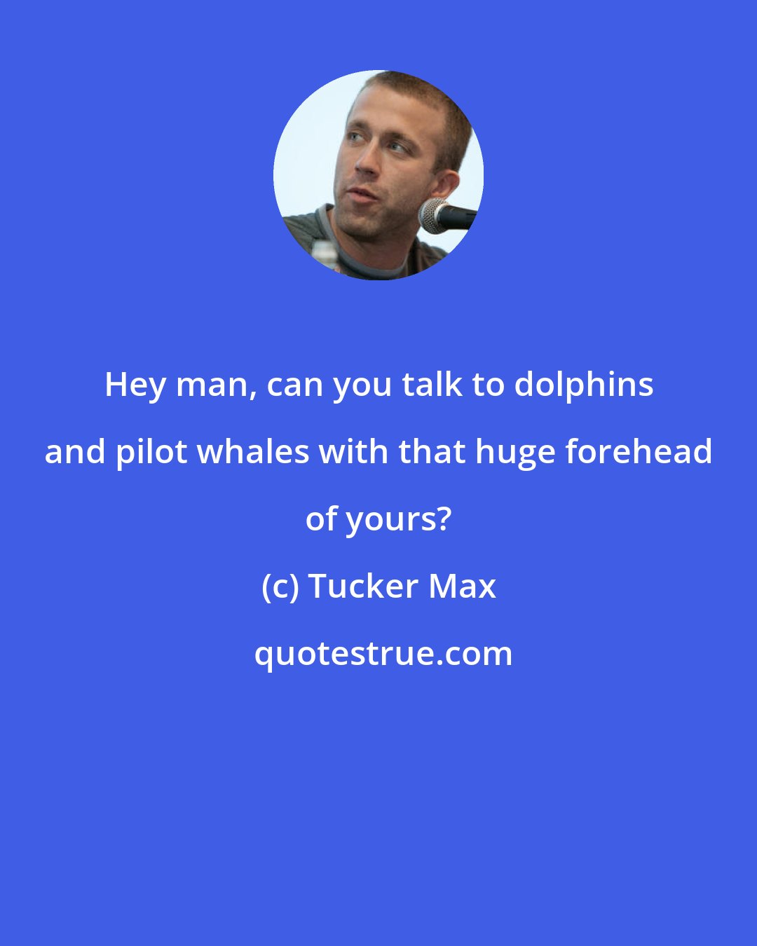 Tucker Max: Hey man, can you talk to dolphins and pilot whales with that huge forehead of yours?