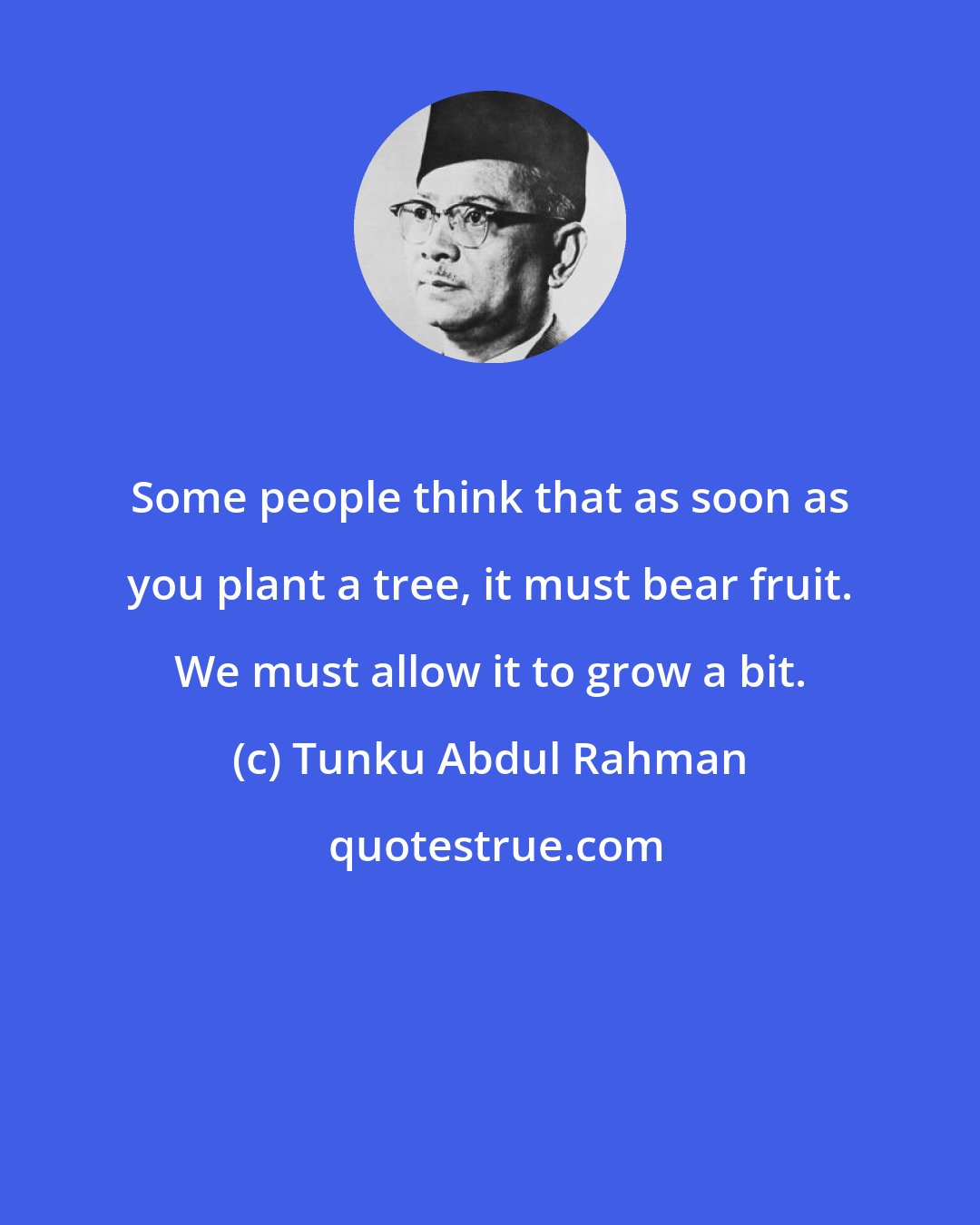 Tunku Abdul Rahman: Some people think that as soon as you plant a tree, it must bear fruit. We must allow it to grow a bit.