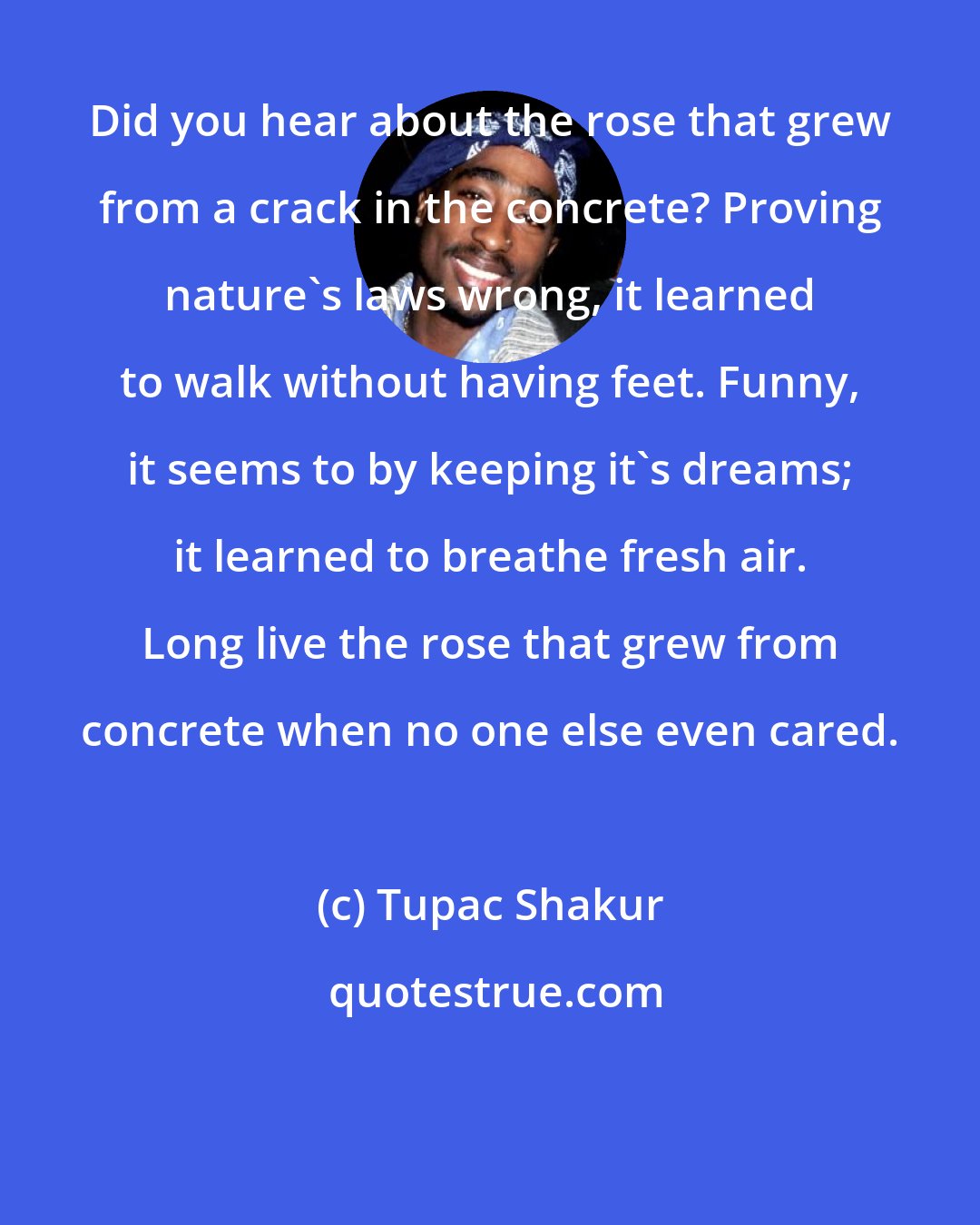 Tupac Shakur: Did you hear about the rose that grew from a crack in the concrete? Proving nature's laws wrong, it learned to walk without having feet. Funny, it seems to by keeping it's dreams; it learned to breathe fresh air. Long live the rose that grew from concrete when no one else even cared.