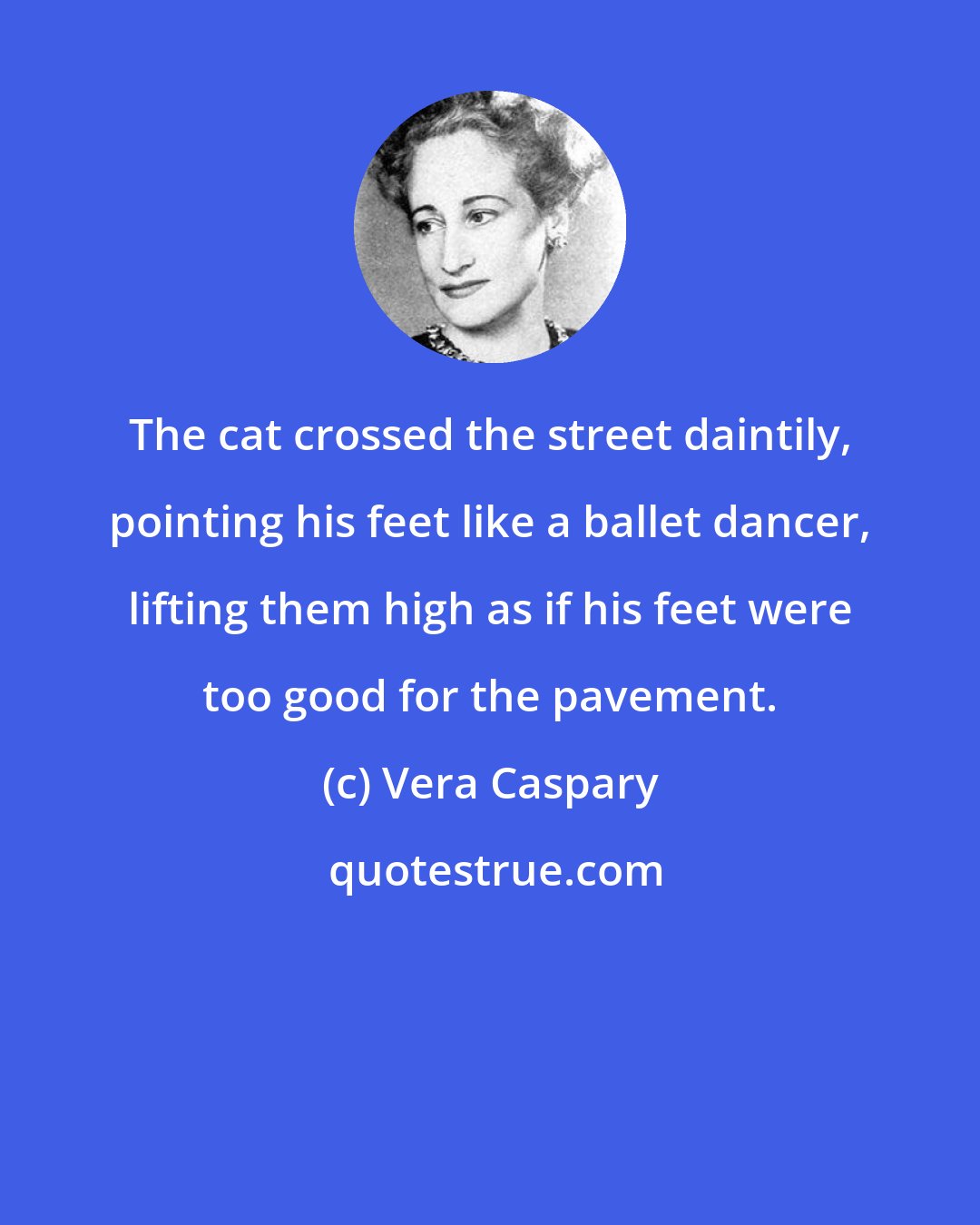 Vera Caspary: The cat crossed the street daintily, pointing his feet like a ballet dancer, lifting them high as if his feet were too good for the pavement.
