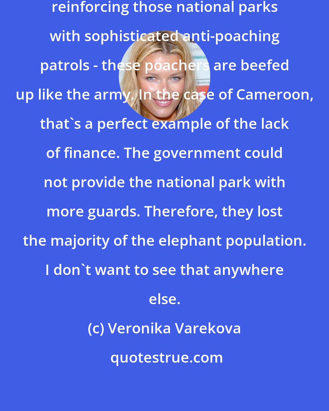 Veronika Varekova: In terms of economical aspects, reinforcing those national parks with sophisticated anti-poaching patrols - these poachers are beefed up like the army. In the case of Cameroon, that's a perfect example of the lack of finance. The government could not provide the national park with more guards. Therefore, they lost the majority of the elephant population. I don't want to see that anywhere else.