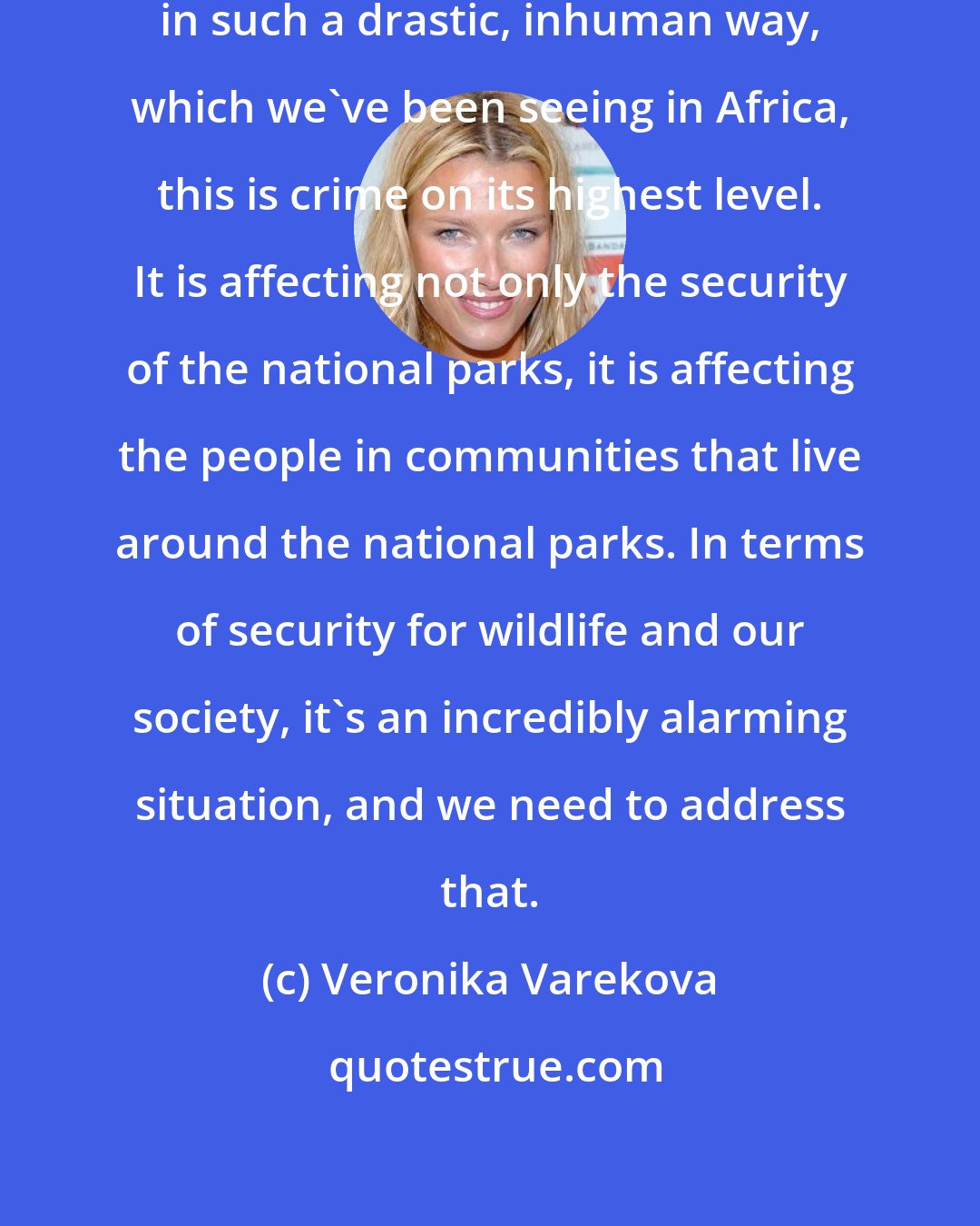 Veronika Varekova: We are all going to die. When it happens in such a drastic, inhuman way, which we've been seeing in Africa, this is crime on its highest level. It is affecting not only the security of the national parks, it is affecting the people in communities that live around the national parks. In terms of security for wildlife and our society, it's an incredibly alarming situation, and we need to address that.