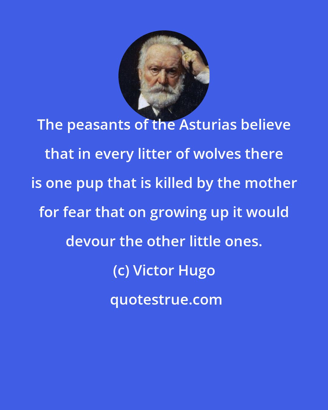 Victor Hugo: The peasants of the Asturias believe that in every litter of wolves there is one pup that is killed by the mother for fear that on growing up it would devour the other little ones.
