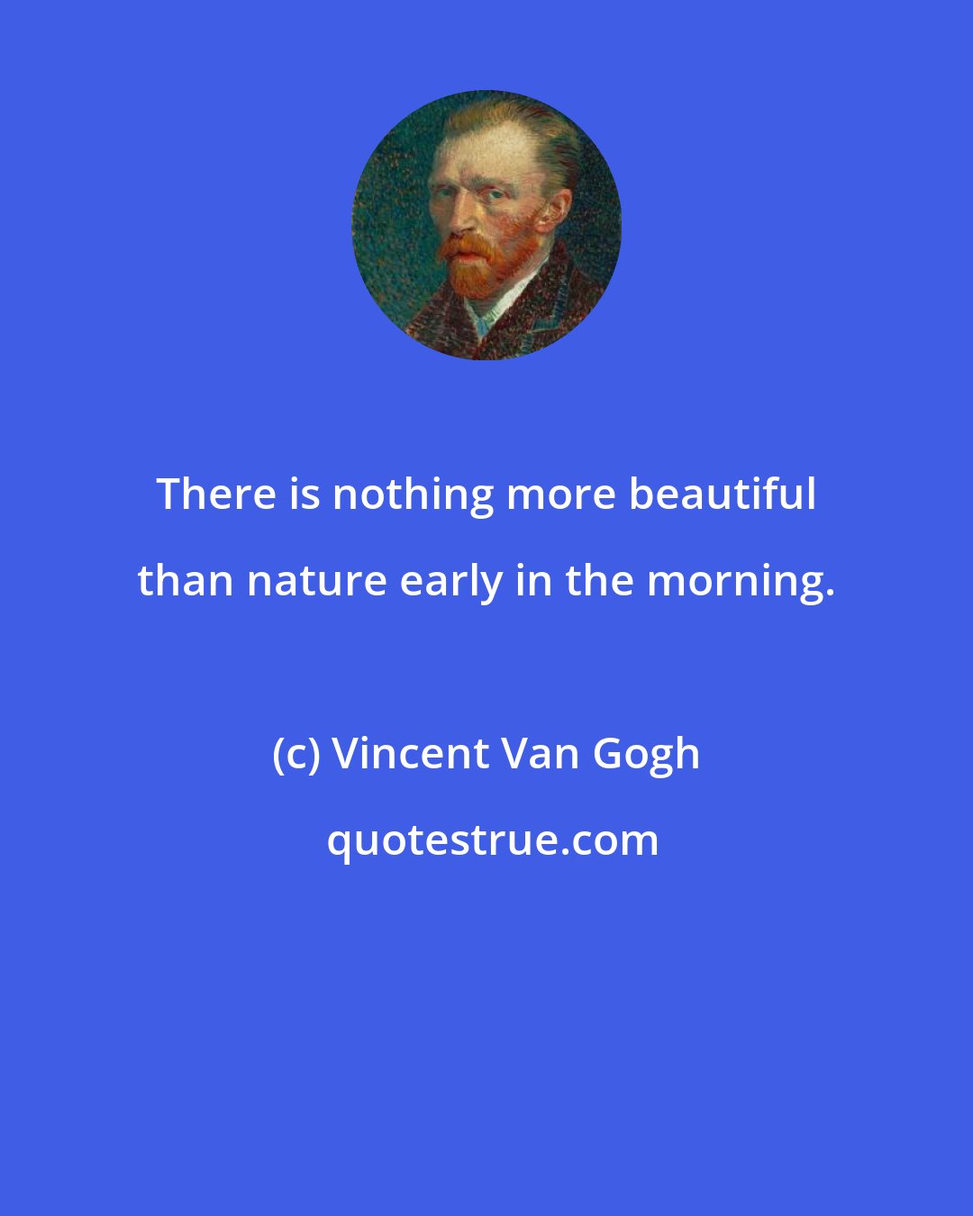 Vincent Van Gogh: There is nothing more beautiful than nature early in the morning.