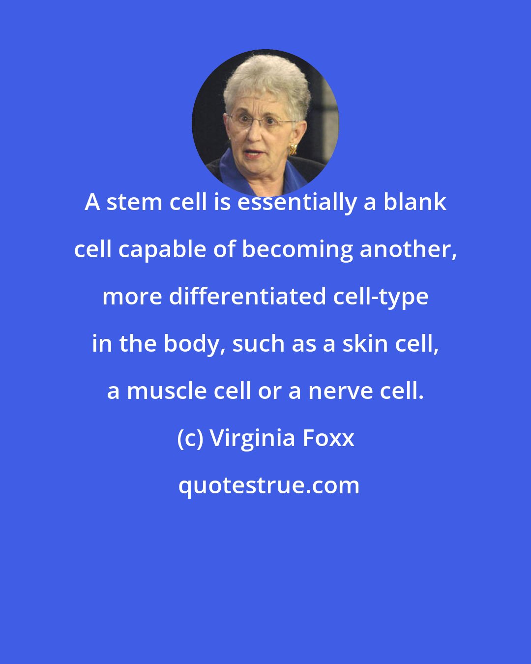 Virginia Foxx: A stem cell is essentially a blank cell capable of becoming another, more differentiated cell-type in the body, such as a skin cell, a muscle cell or a nerve cell.