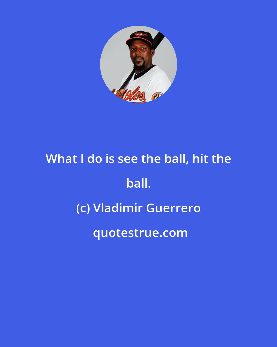 Vladimir Guerrero: What I do is see the ball, hit the ball.