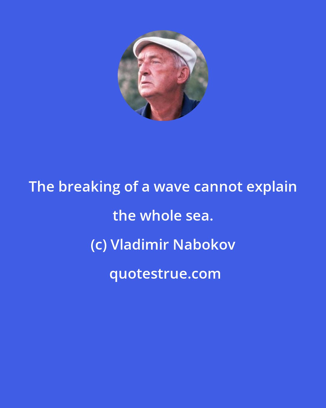 Vladimir Nabokov: The breaking of a wave cannot explain the whole sea.