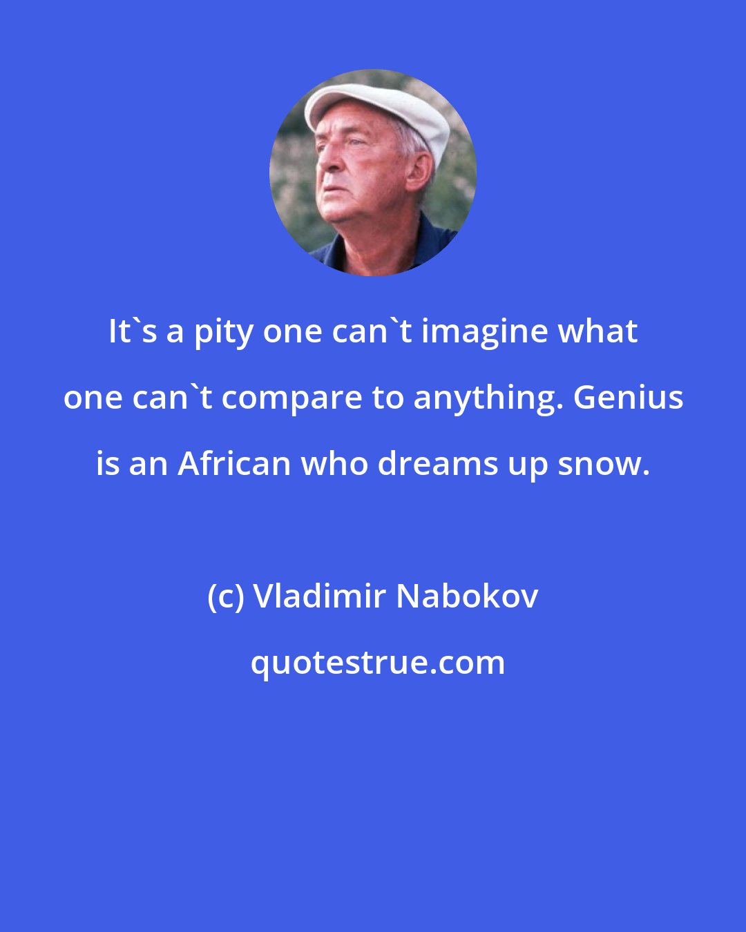 Vladimir Nabokov: It's a pity one can't imagine what one can't compare to anything. Genius is an African who dreams up snow.