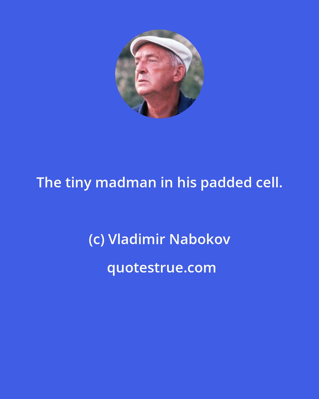 Vladimir Nabokov: The tiny madman in his padded cell.