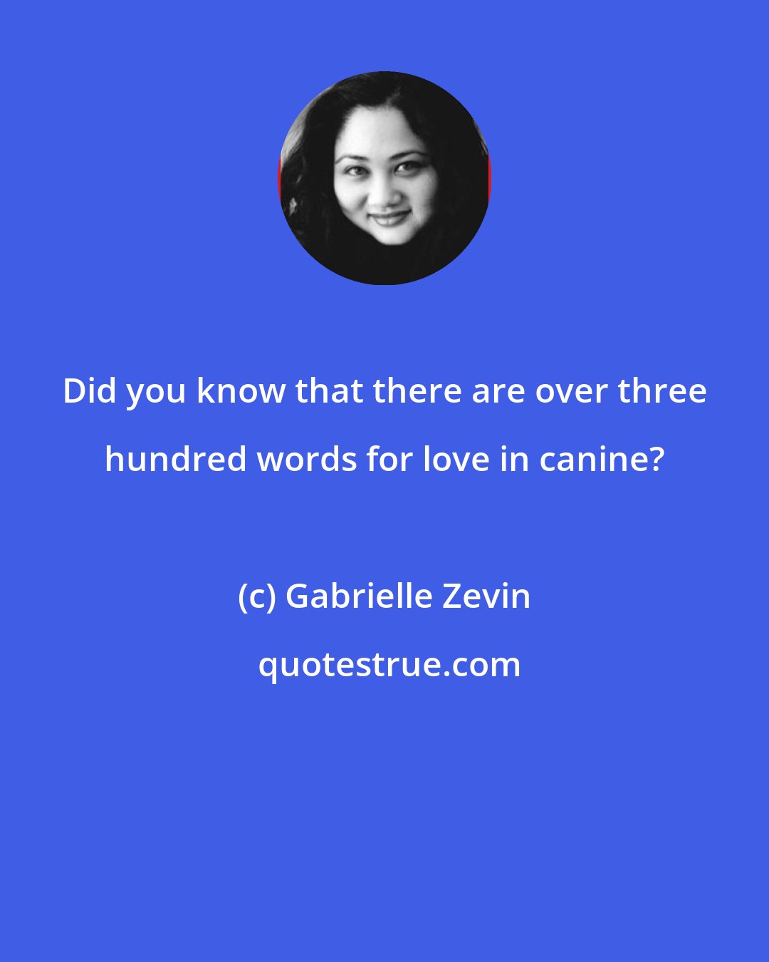 Gabrielle Zevin: Did you know that there are over three hundred words for love in canine?