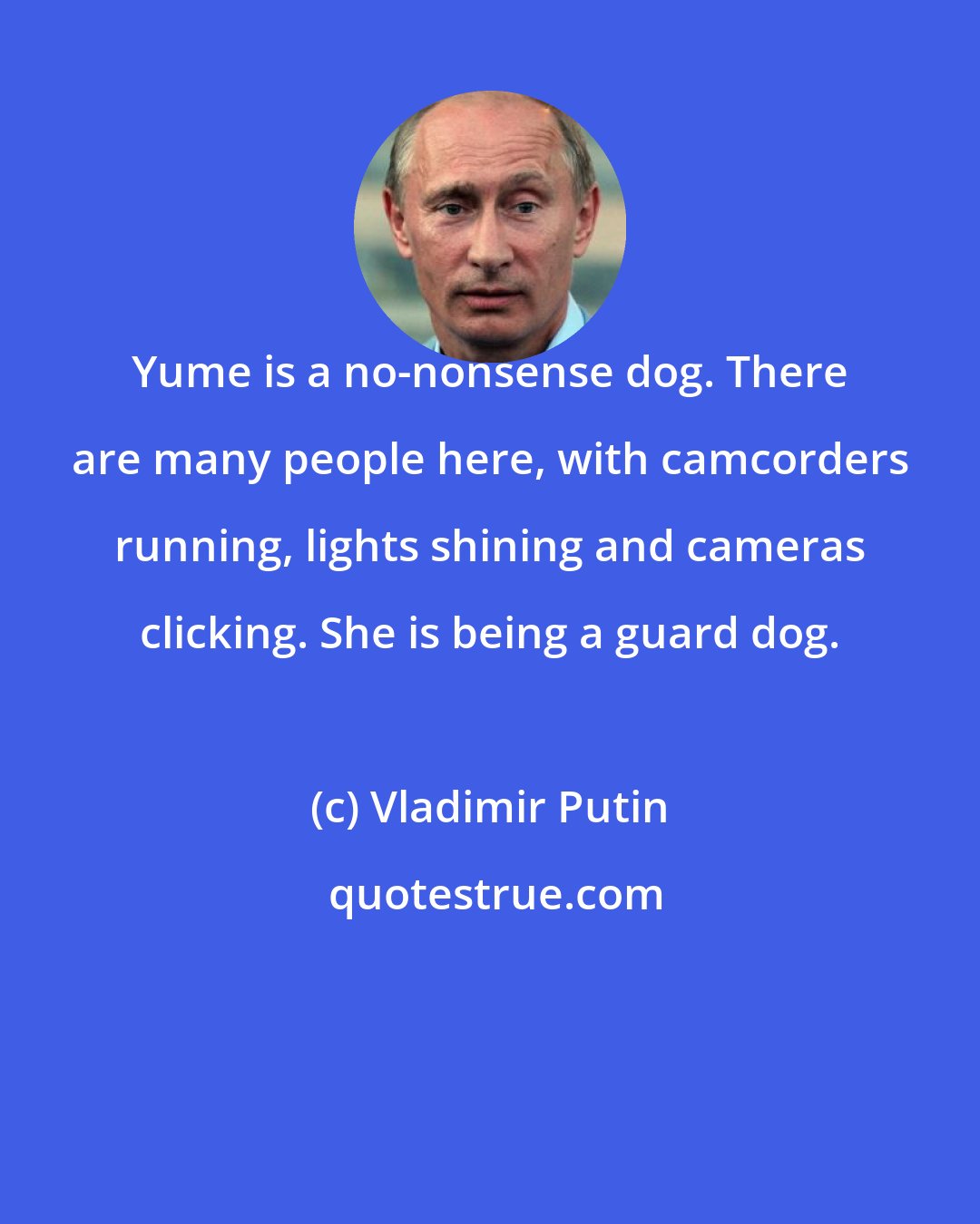 Vladimir Putin: Yume is a no-nonsense dog. There are many people here, with camcorders running, lights shining and cameras clicking. She is being a guard dog.