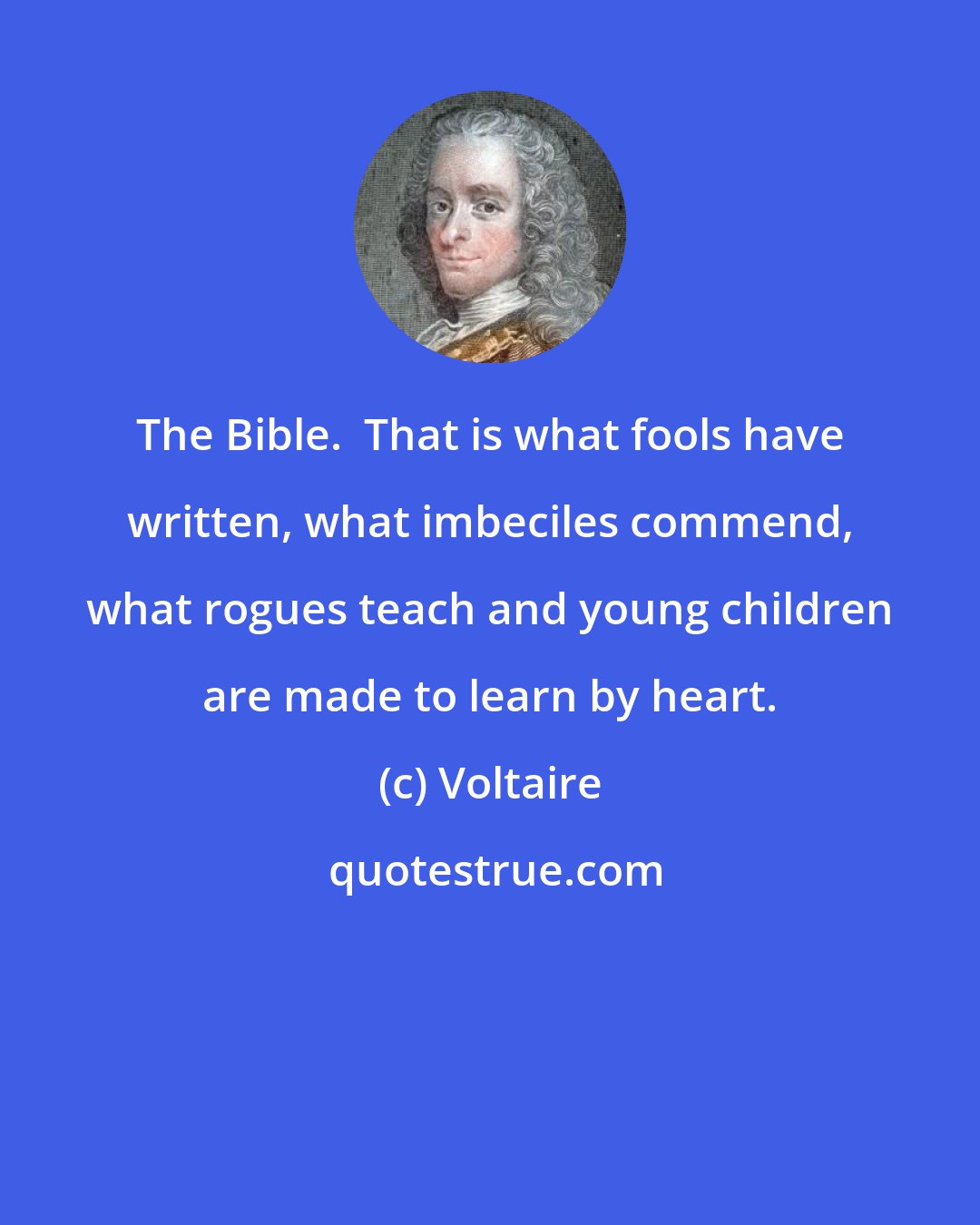 Voltaire: The Bible.  That is what fools have written, what imbeciles commend, what rogues teach and young children are made to learn by heart.