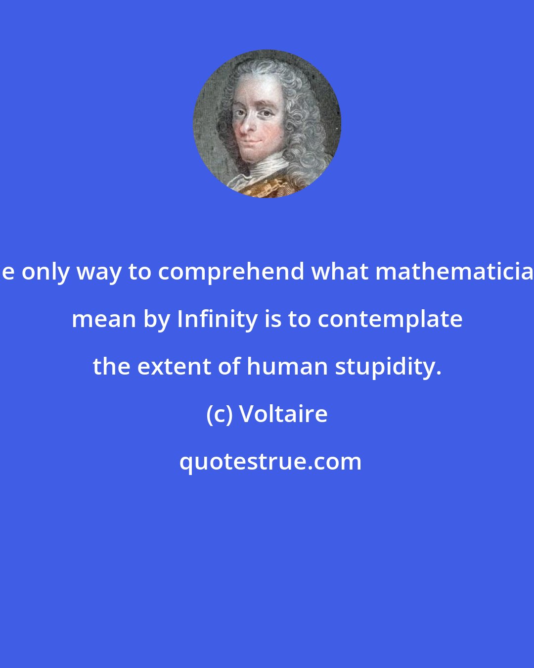 Voltaire: The only way to comprehend what mathematicians mean by Infinity is to contemplate the extent of human stupidity.