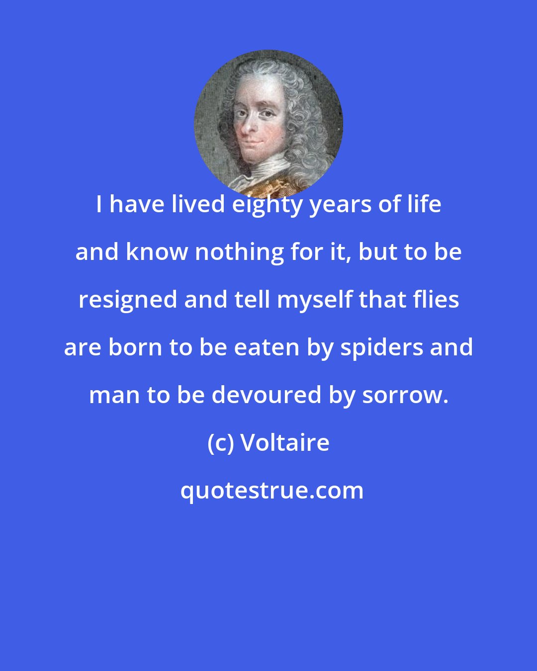 Voltaire: I have lived eighty years of life and know nothing for it, but to be resigned and tell myself that flies are born to be eaten by spiders and man to be devoured by sorrow.