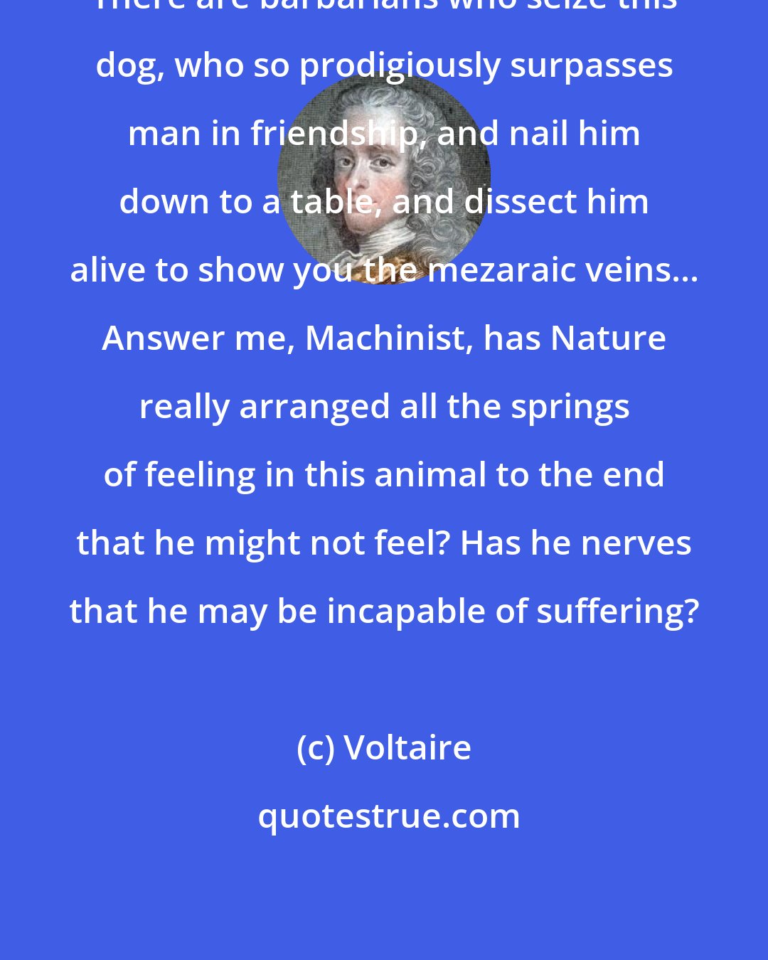 Voltaire: There are barbarians who seize this dog, who so prodigiously surpasses man in friendship, and nail him down to a table, and dissect him alive to show you the mezaraic veins... Answer me, Machinist, has Nature really arranged all the springs of feeling in this animal to the end that he might not feel? Has he nerves that he may be incapable of suffering?