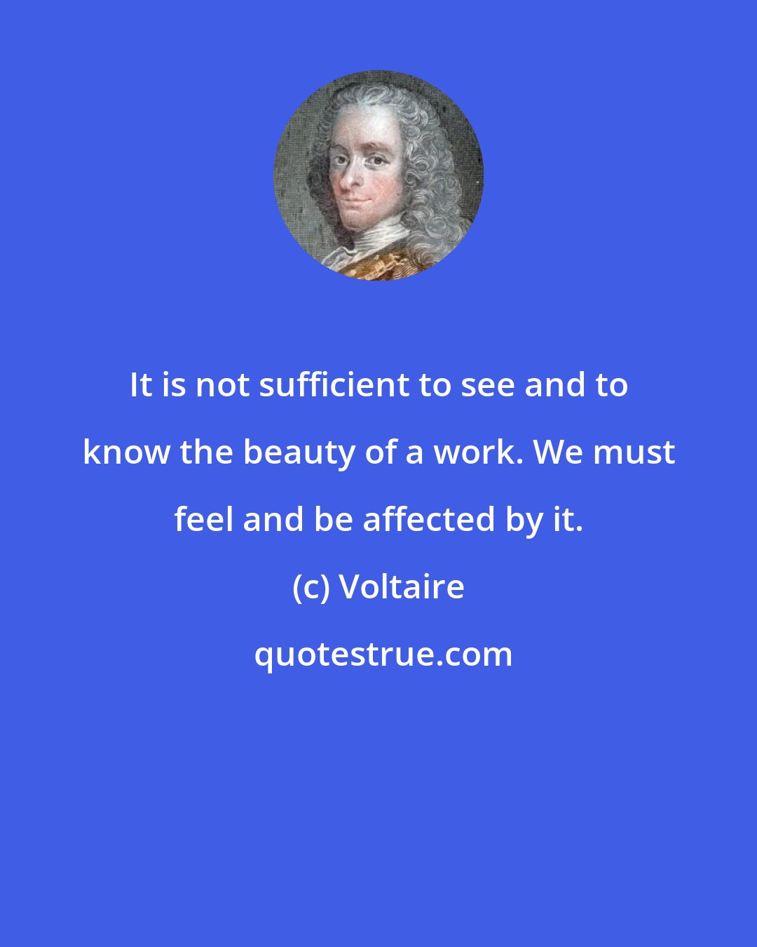 Voltaire: It is not sufficient to see and to know the beauty of a work. We must feel and be affected by it.