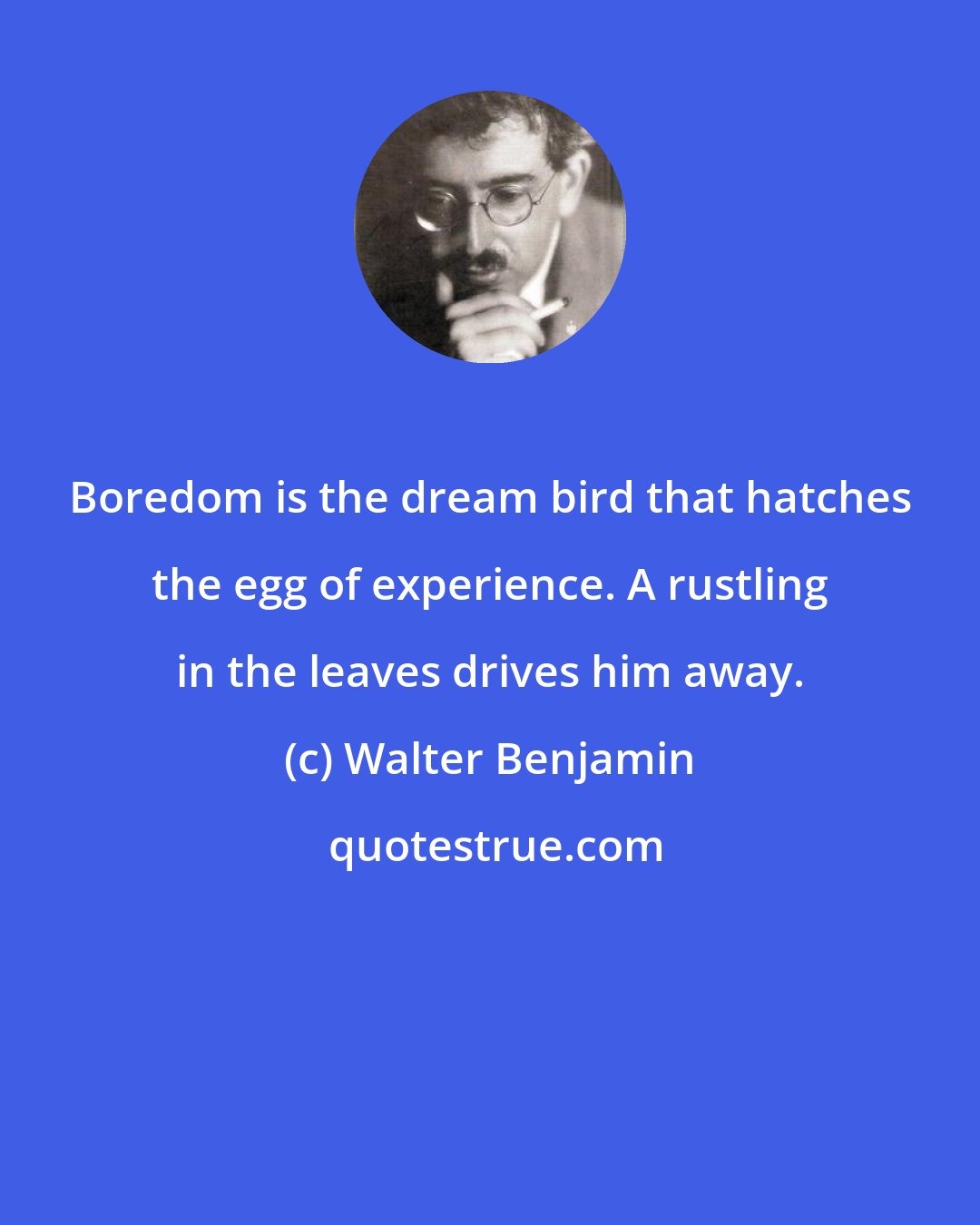 Walter Benjamin: Boredom is the dream bird that hatches the egg of experience. A rustling in the leaves drives him away.