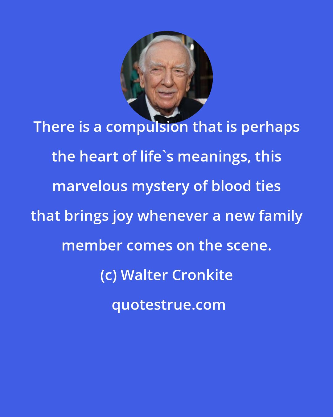 Walter Cronkite: There is a compulsion that is perhaps the heart of life's meanings, this marvelous mystery of blood ties that brings joy whenever a new family member comes on the scene.