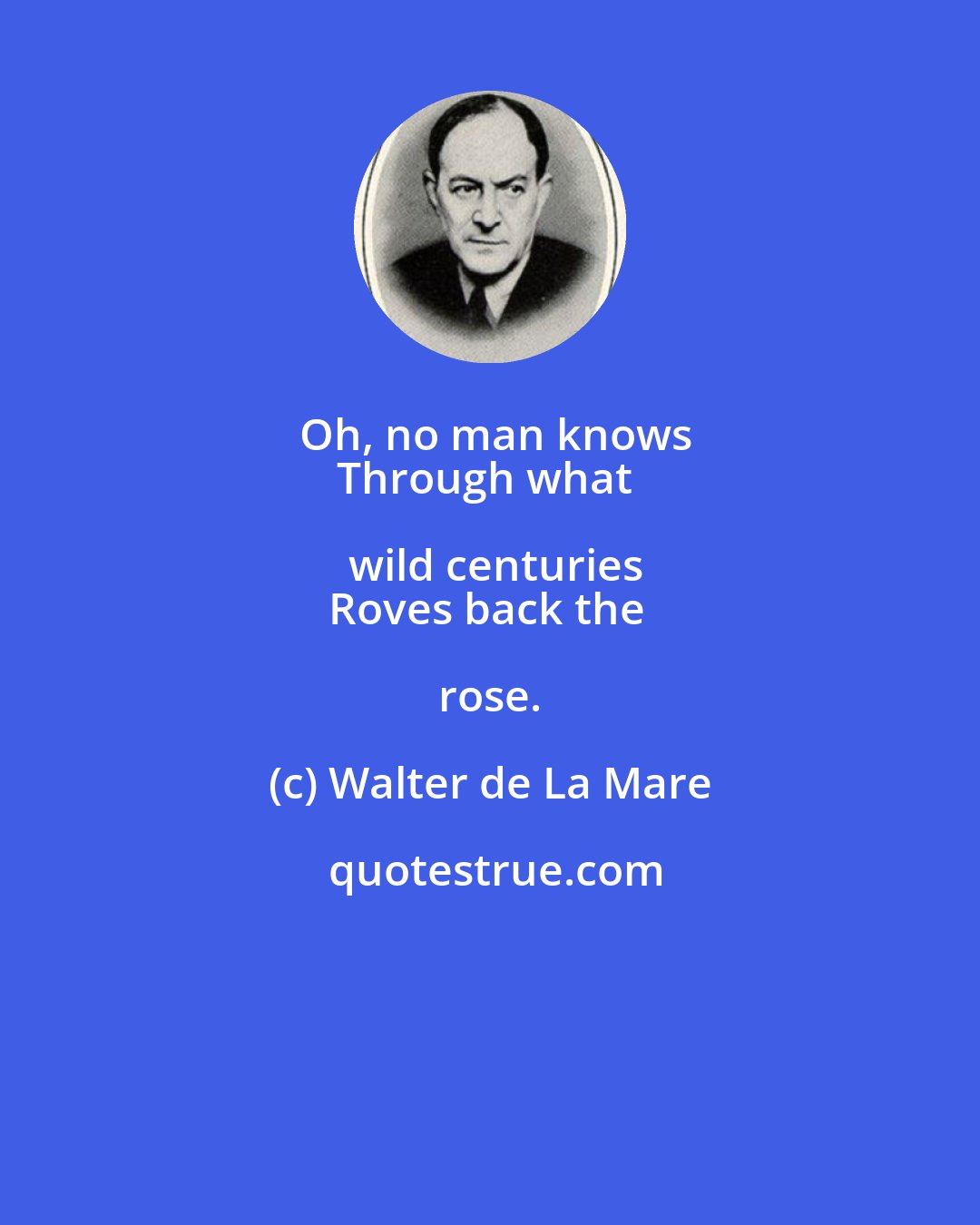 Walter de La Mare: Oh, no man knows
Through what wild centuries
Roves back the rose.