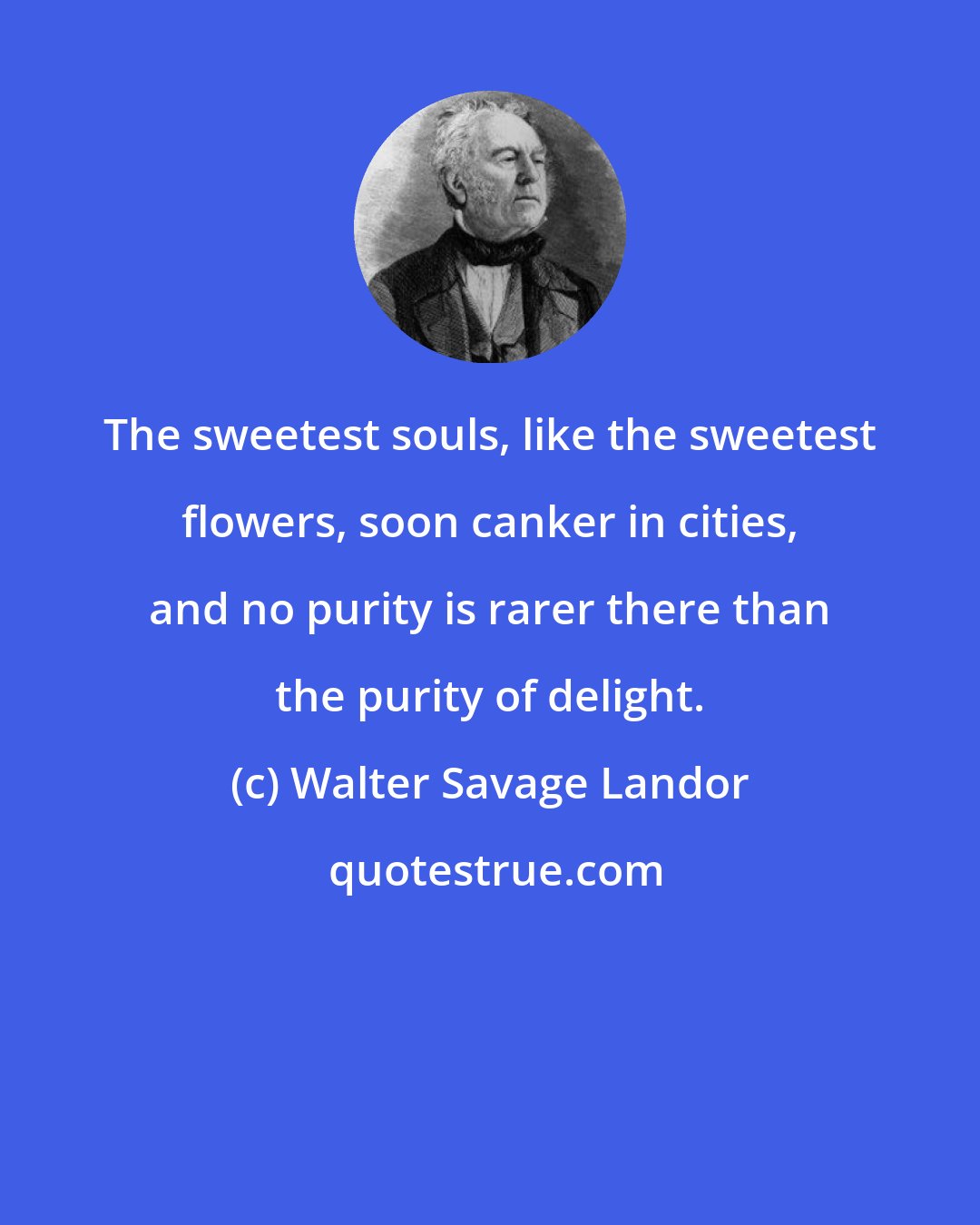 Walter Savage Landor: The sweetest souls, like the sweetest flowers, soon canker in cities, and no purity is rarer there than the purity of delight.