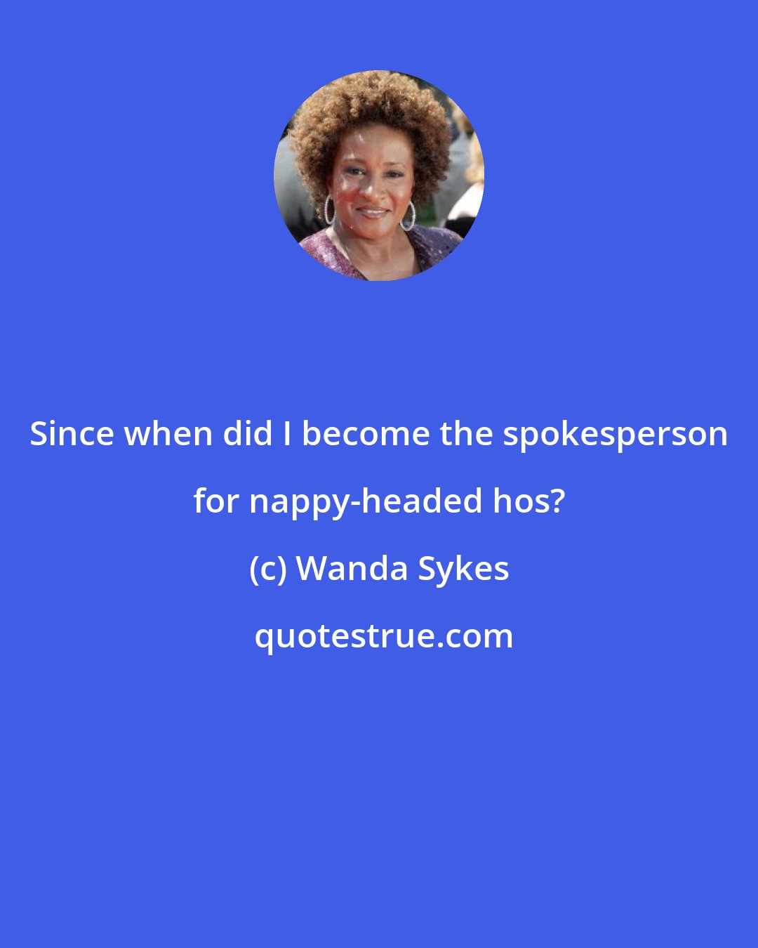 Wanda Sykes: Since when did I become the spokesperson for nappy-headed hos?