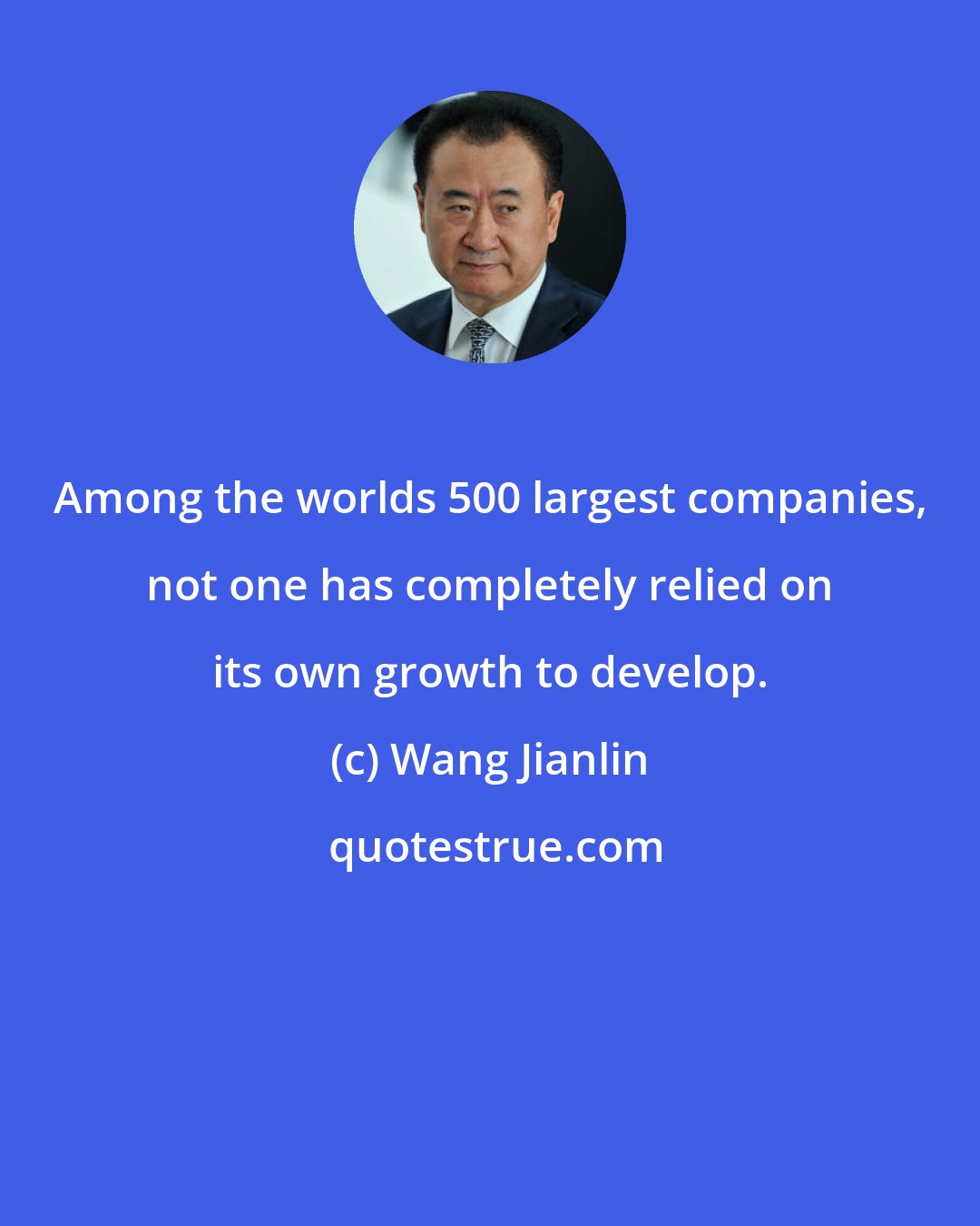 Wang Jianlin: Among the worlds 500 largest companies, not one has completely relied on its own growth to develop.