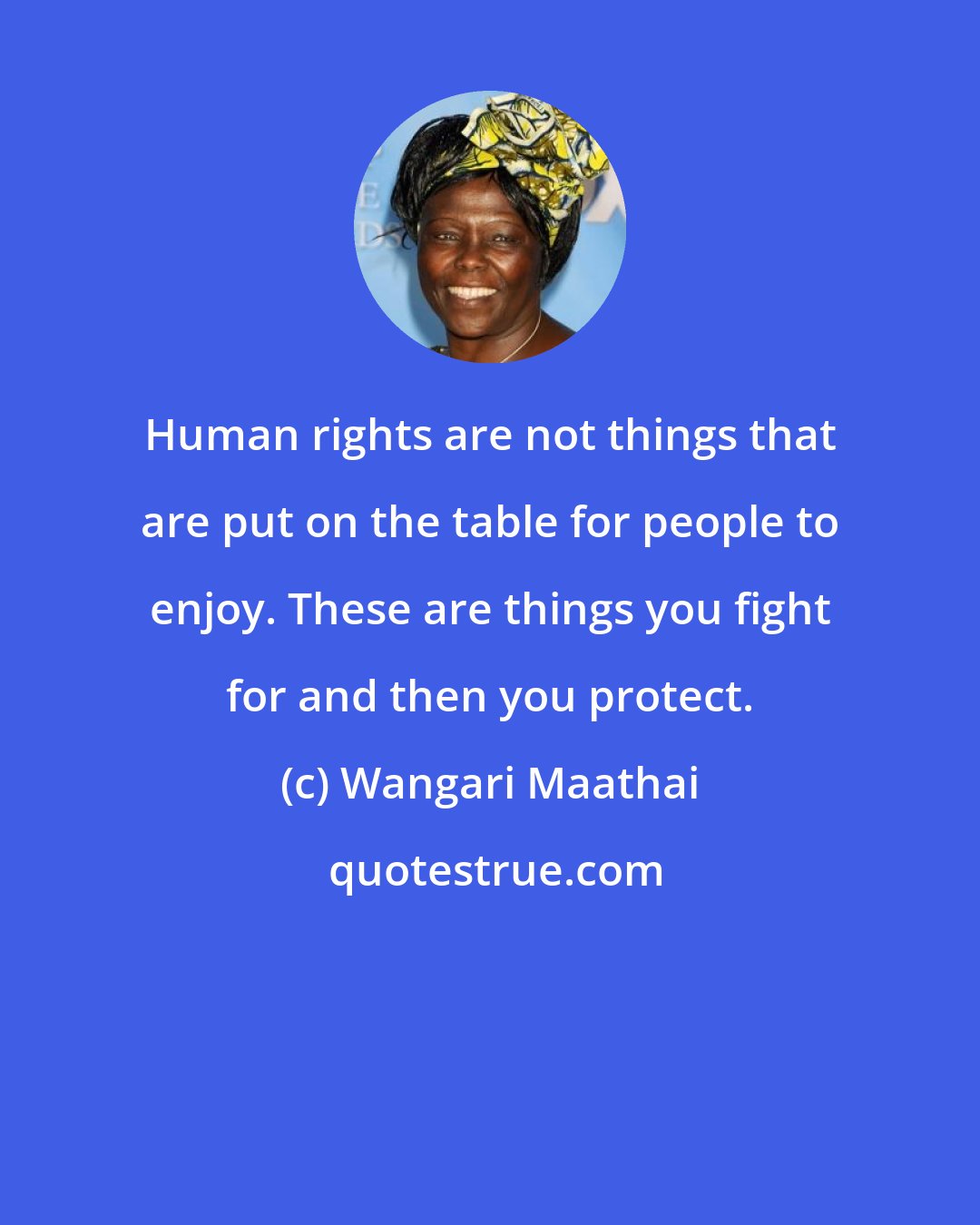 Wangari Maathai: Human rights are not things that are put on the table for people to enjoy. These are things you fight for and then you protect.