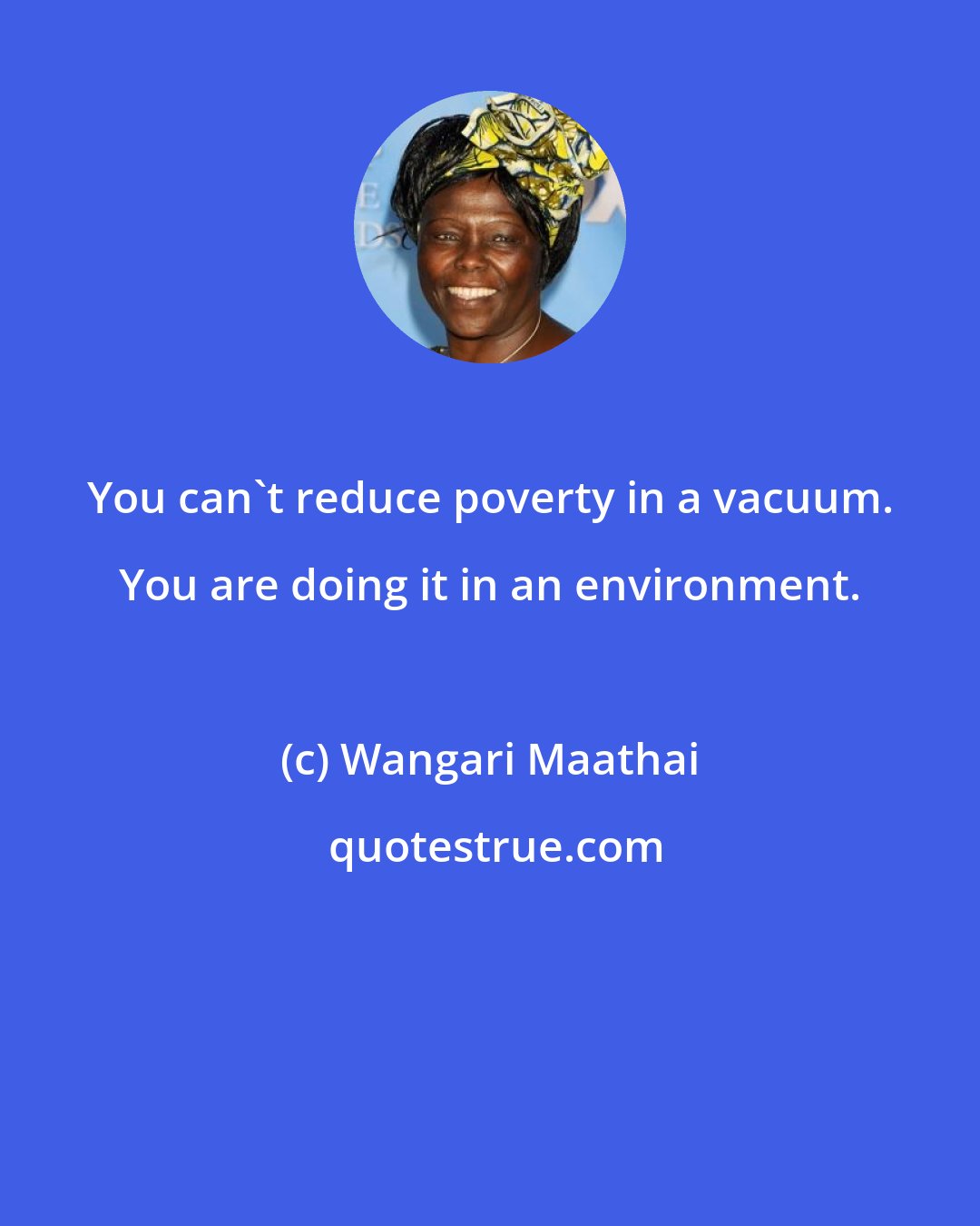 Wangari Maathai: You can't reduce poverty in a vacuum. You are doing it in an environment.