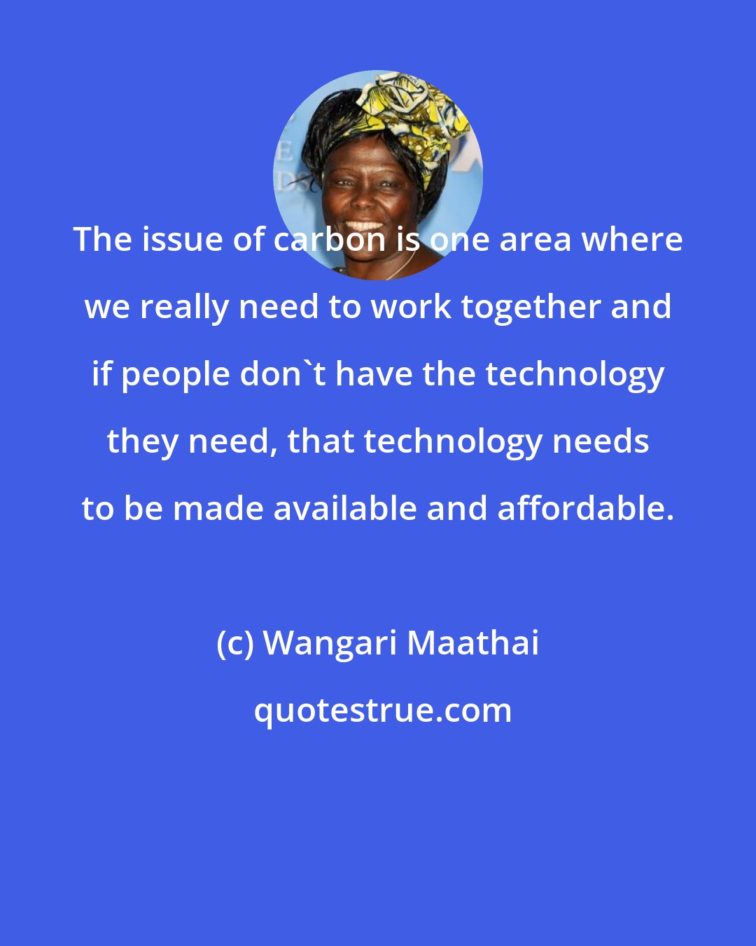 Wangari Maathai: The issue of carbon is one area where we really need to work together and if people don't have the technology they need, that technology needs to be made available and affordable.