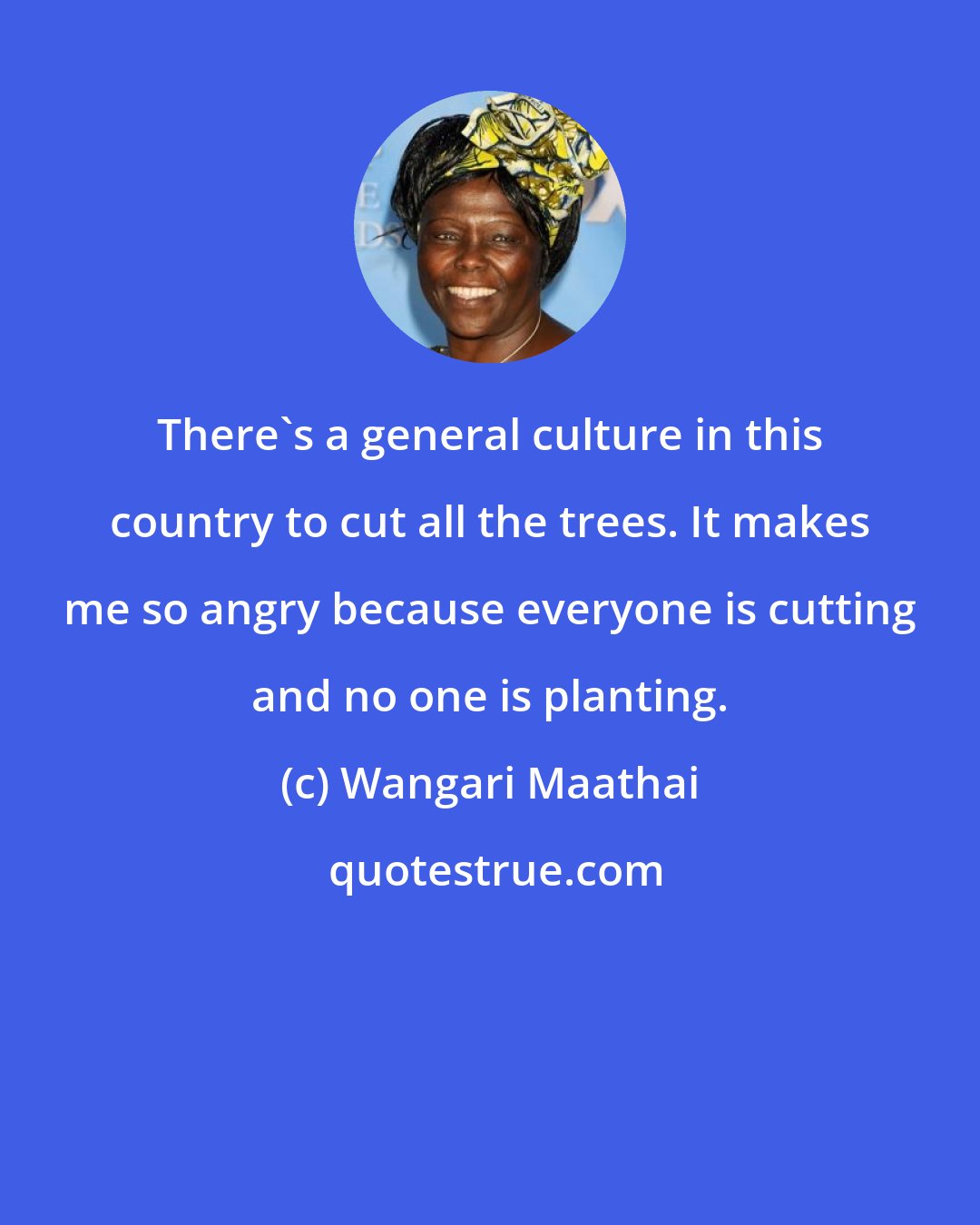 Wangari Maathai: There's a general culture in this country to cut all the trees. It makes me so angry because everyone is cutting and no one is planting.