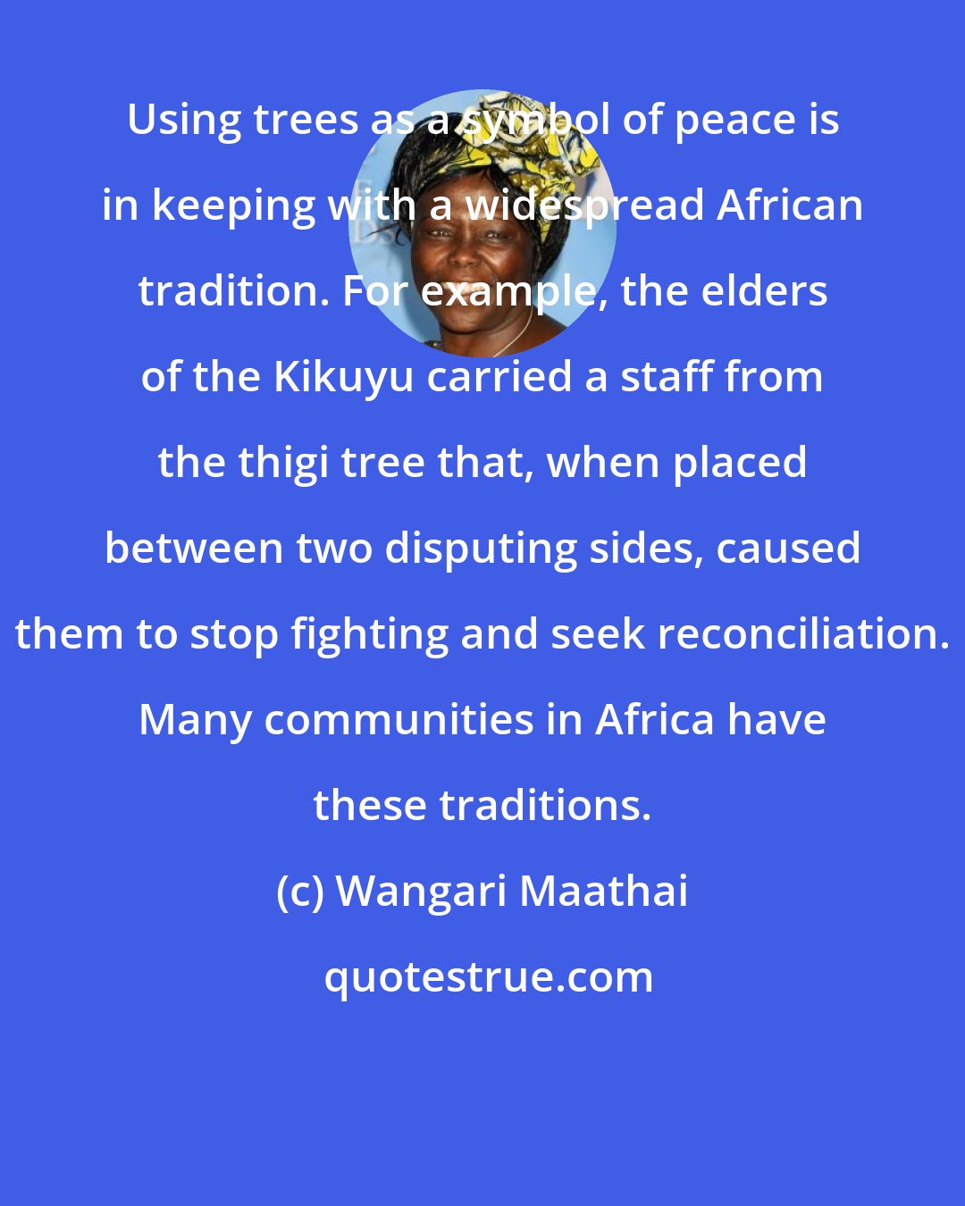 Wangari Maathai: Using trees as a symbol of peace is in keeping with a widespread African tradition. For example, the elders of the Kikuyu carried a staff from the thigi tree that, when placed between two disputing sides, caused them to stop fighting and seek reconciliation. Many communities in Africa have these traditions.