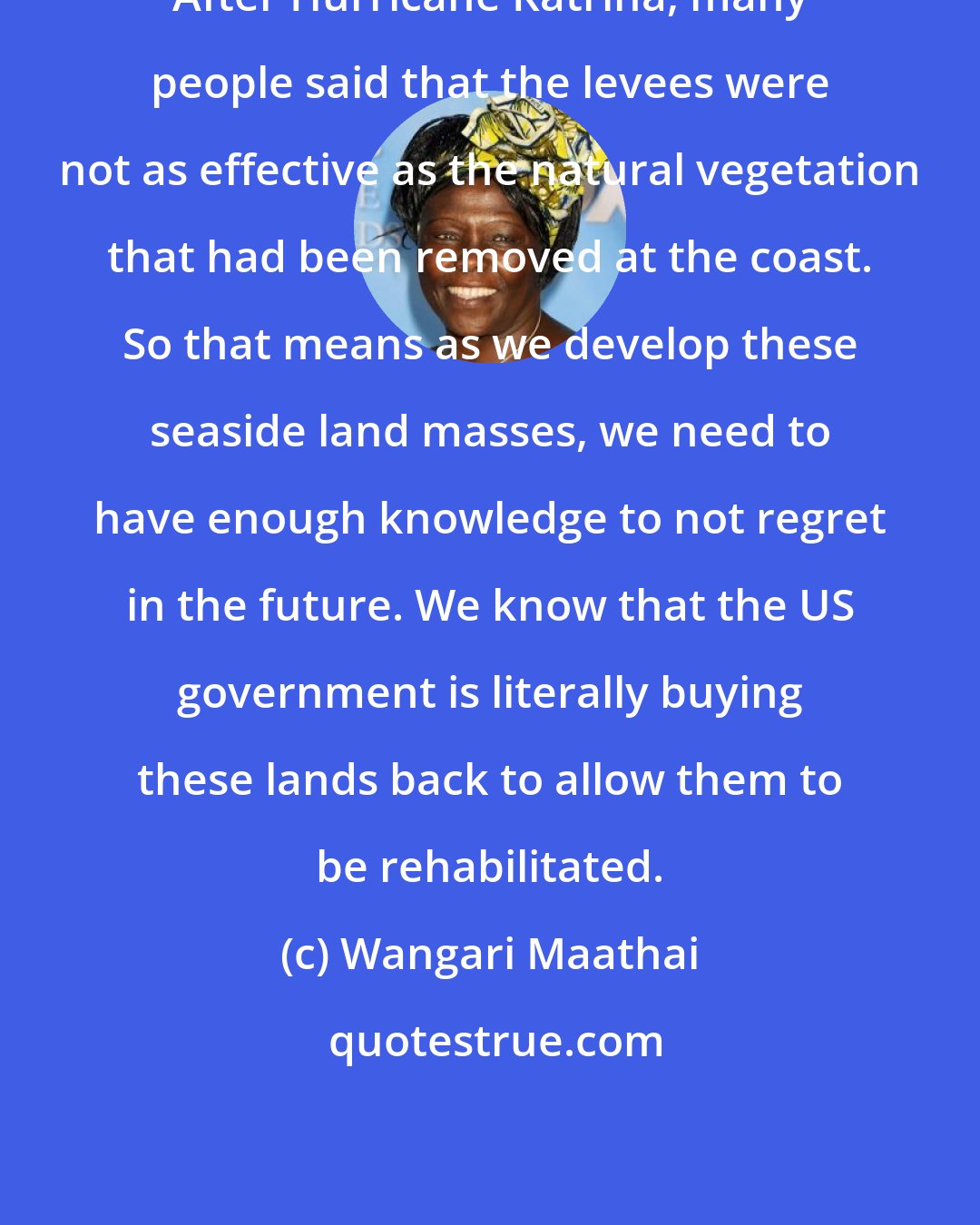 Wangari Maathai: After Hurricane Katrina, many people said that the levees were not as effective as the natural vegetation that had been removed at the coast. So that means as we develop these seaside land masses, we need to have enough knowledge to not regret in the future. We know that the US government is literally buying these lands back to allow them to be rehabilitated.