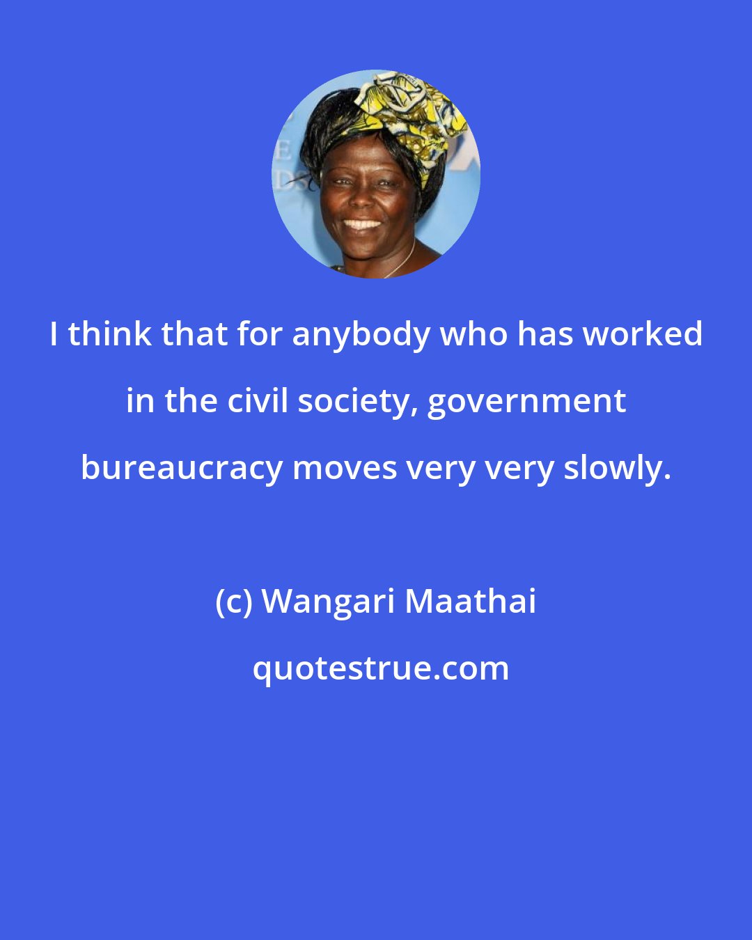 Wangari Maathai: I think that for anybody who has worked in the civil society, government bureaucracy moves very very slowly.