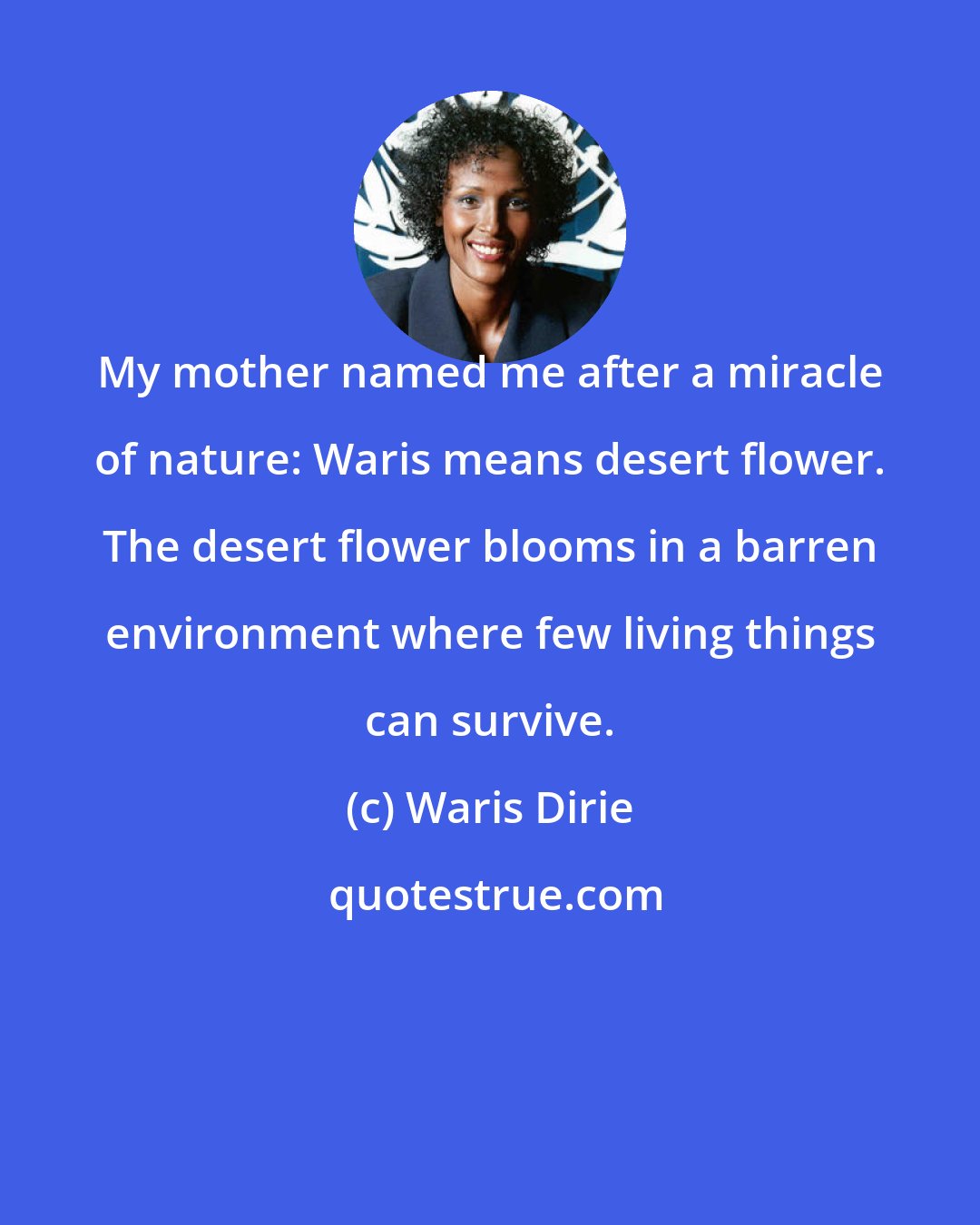 Waris Dirie: My mother named me after a miracle of nature: Waris means desert flower. The desert flower blooms in a barren environment where few living things can survive.